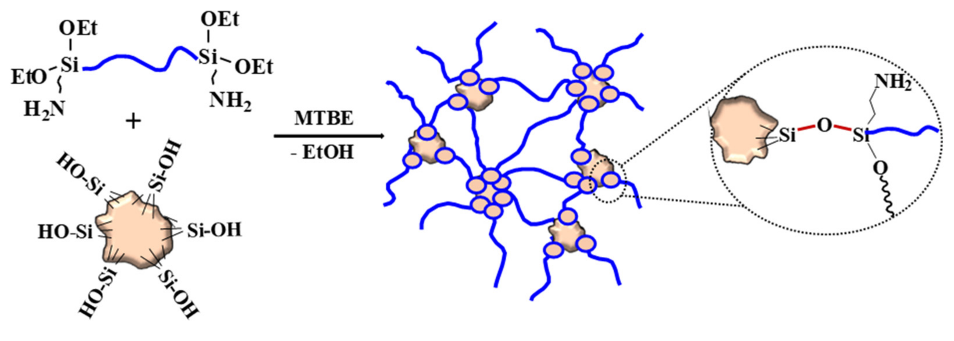 Polymers 13 02848 g006