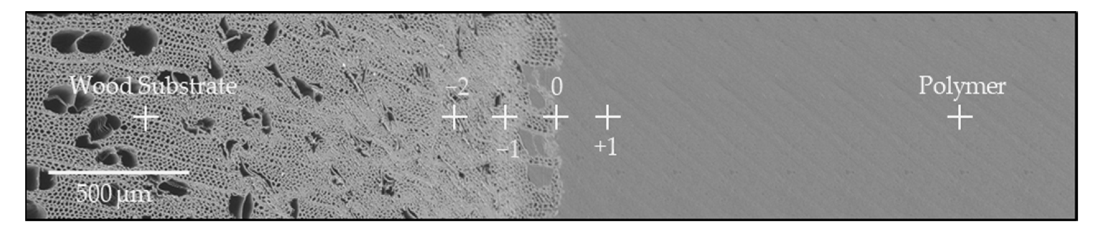 Polymers 13 02849 g004