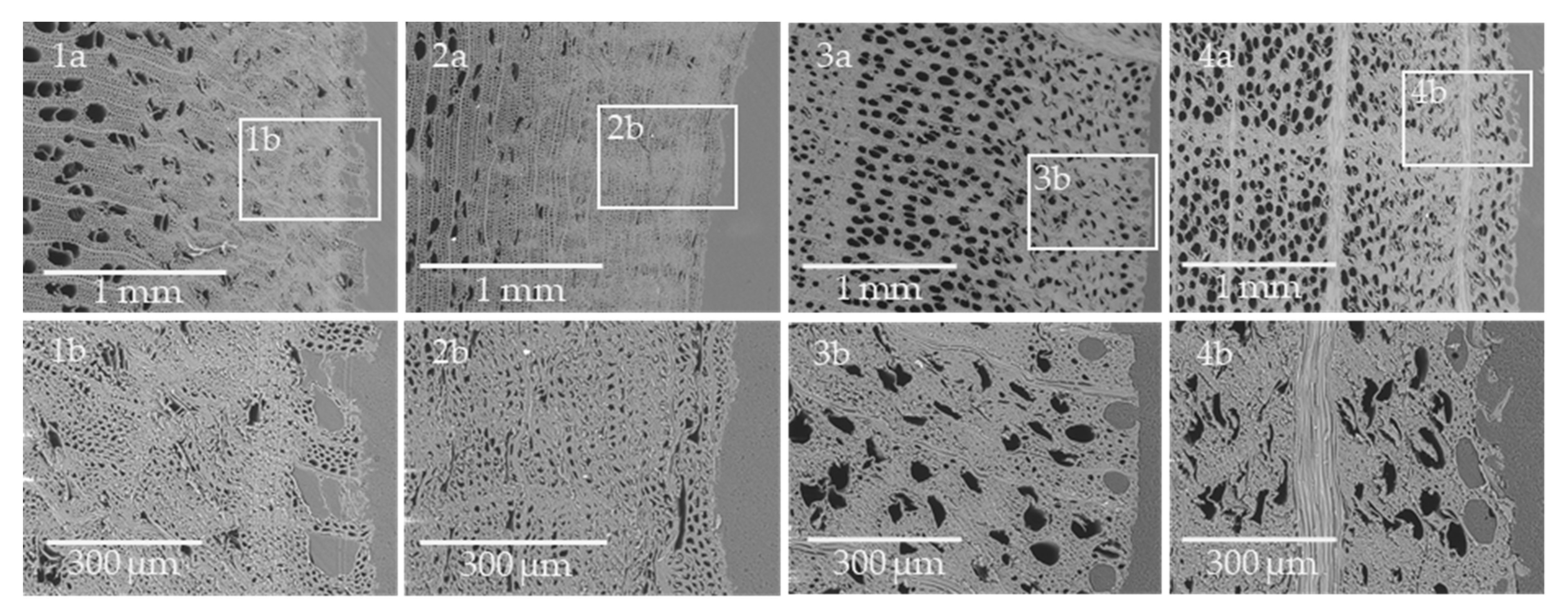 Polymers 13 02849 g007