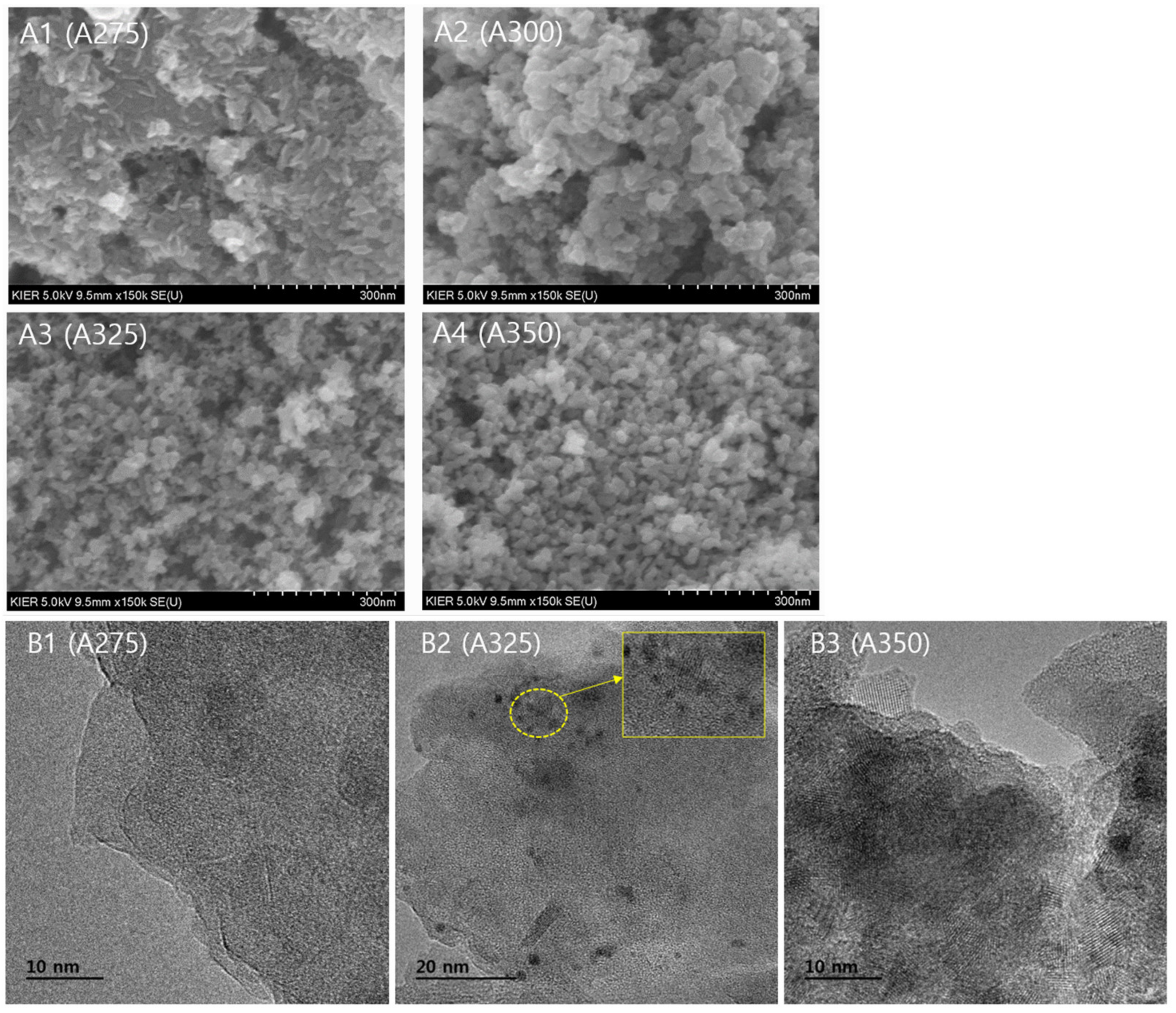 Polymers 13 02850 g003