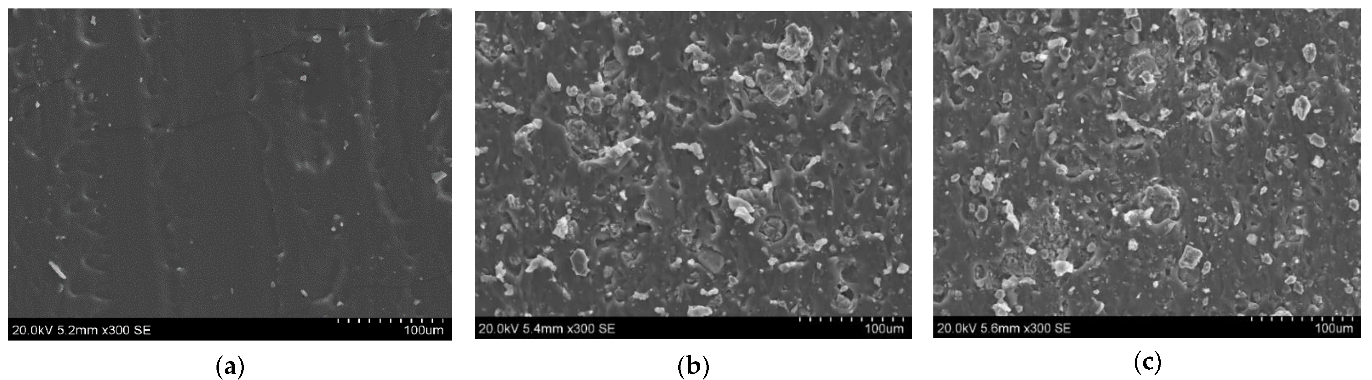 Polymers 13 02854 g002