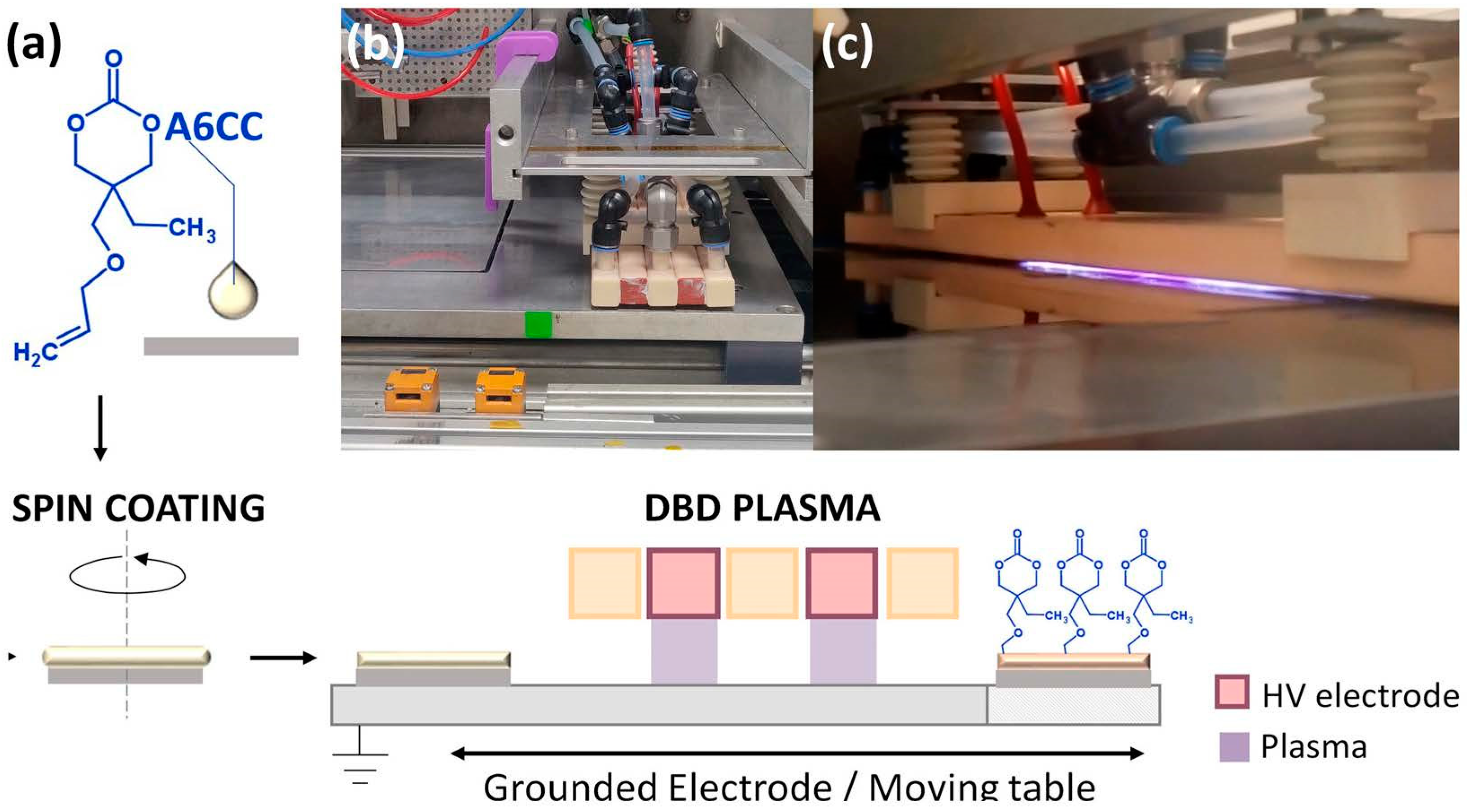 Polymers 13 02856 g001