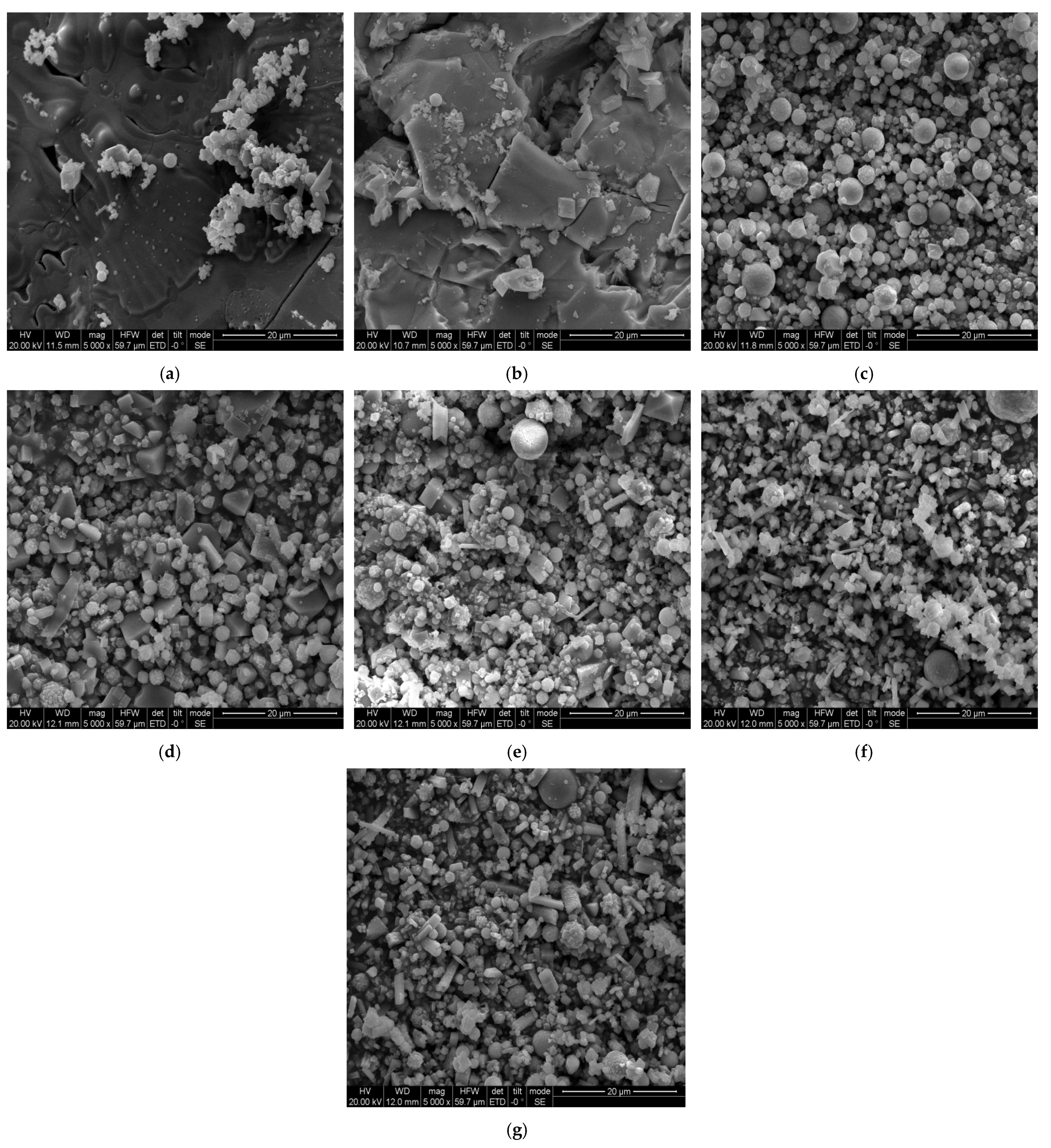 Polymers 13 02857 g002