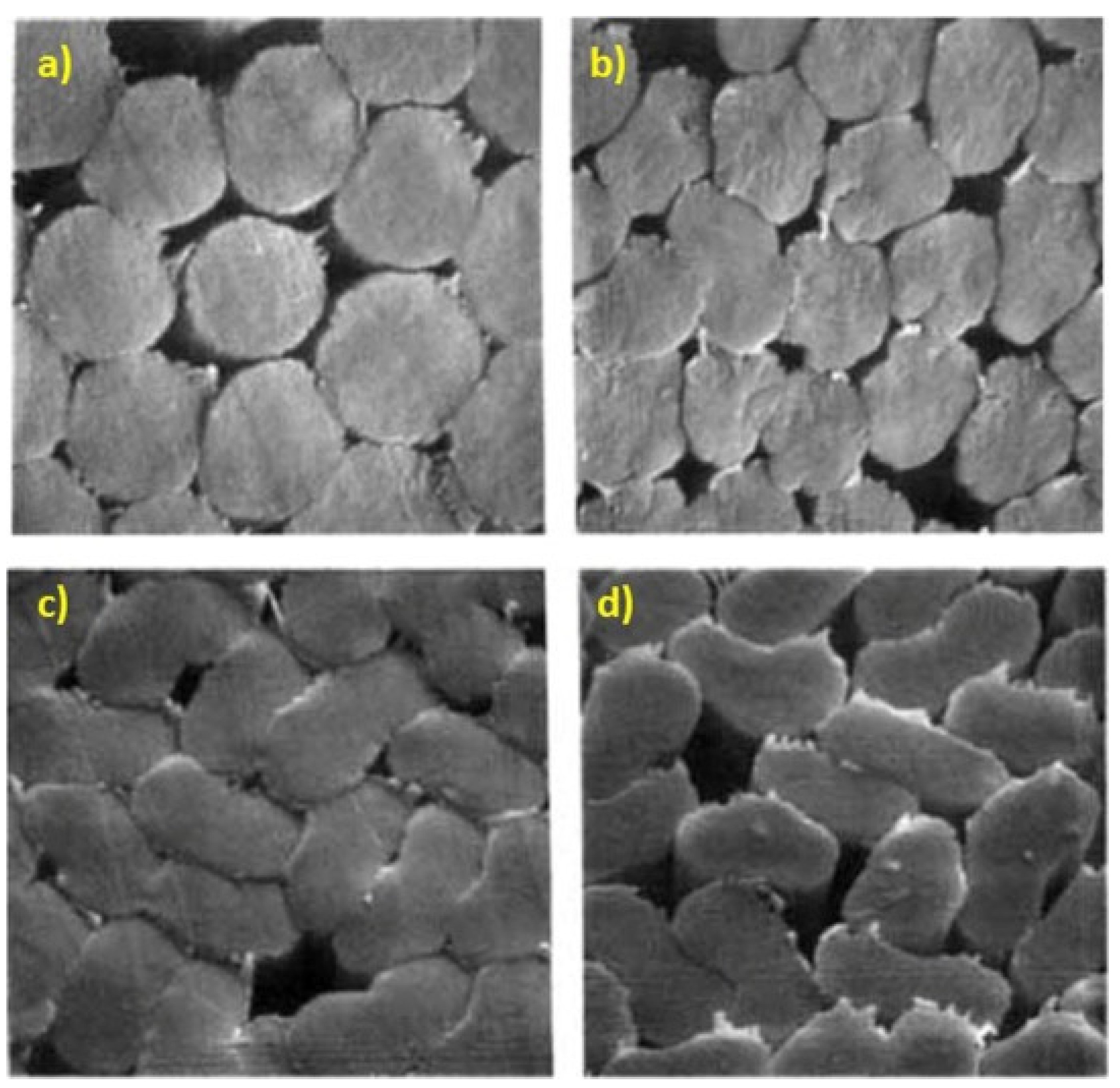 Polymers 13 02863 g003