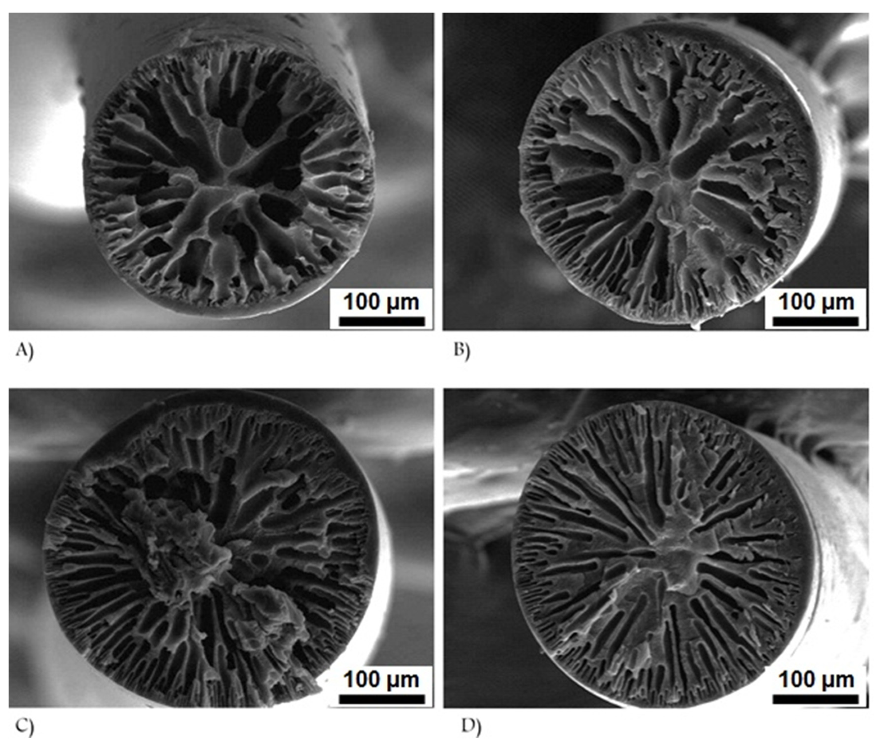 Polymers 13 02863 g004