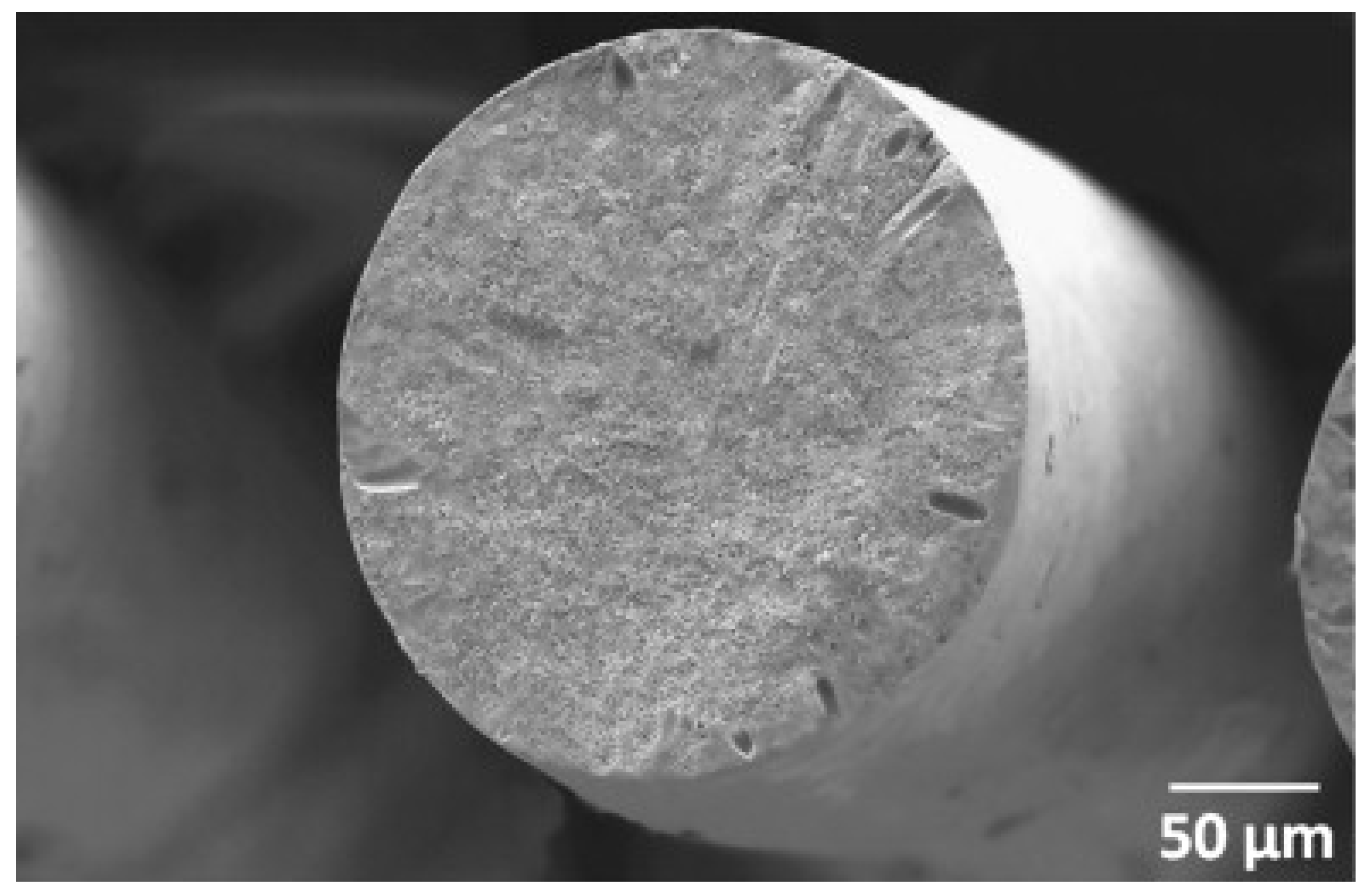 Polymers 13 02863 g007