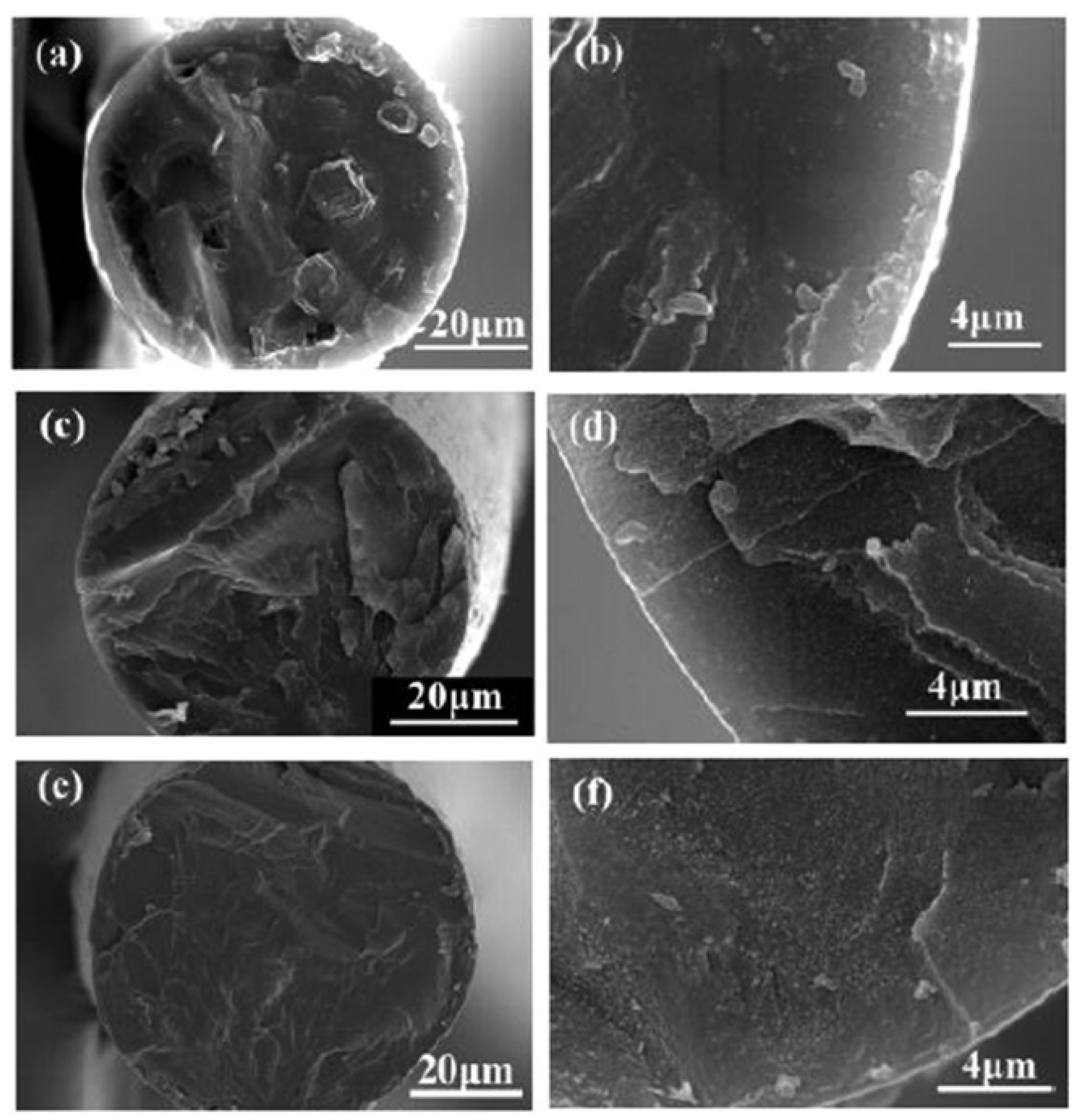Polymers 13 02863 g012
