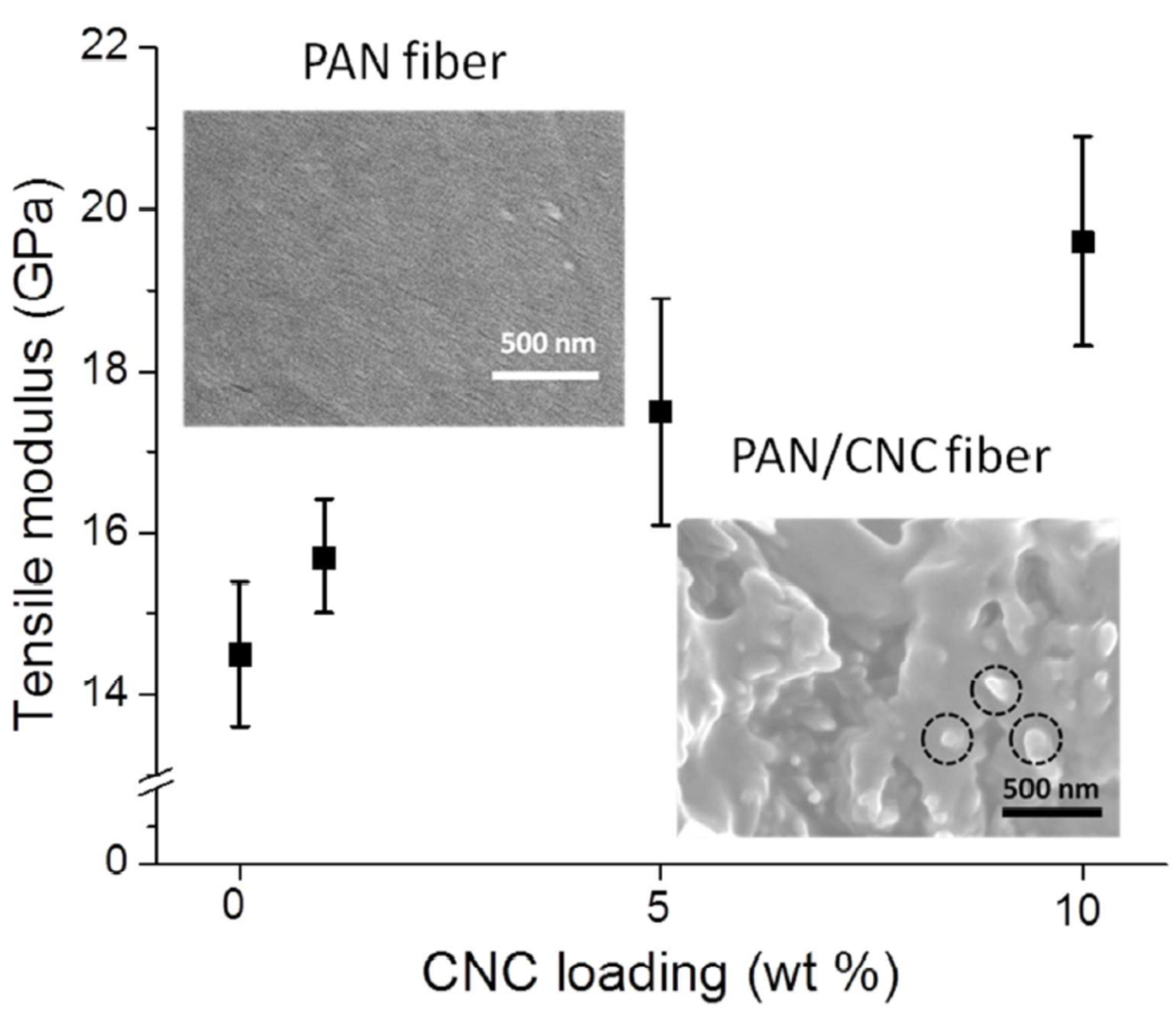 Polymers 13 02863 g013