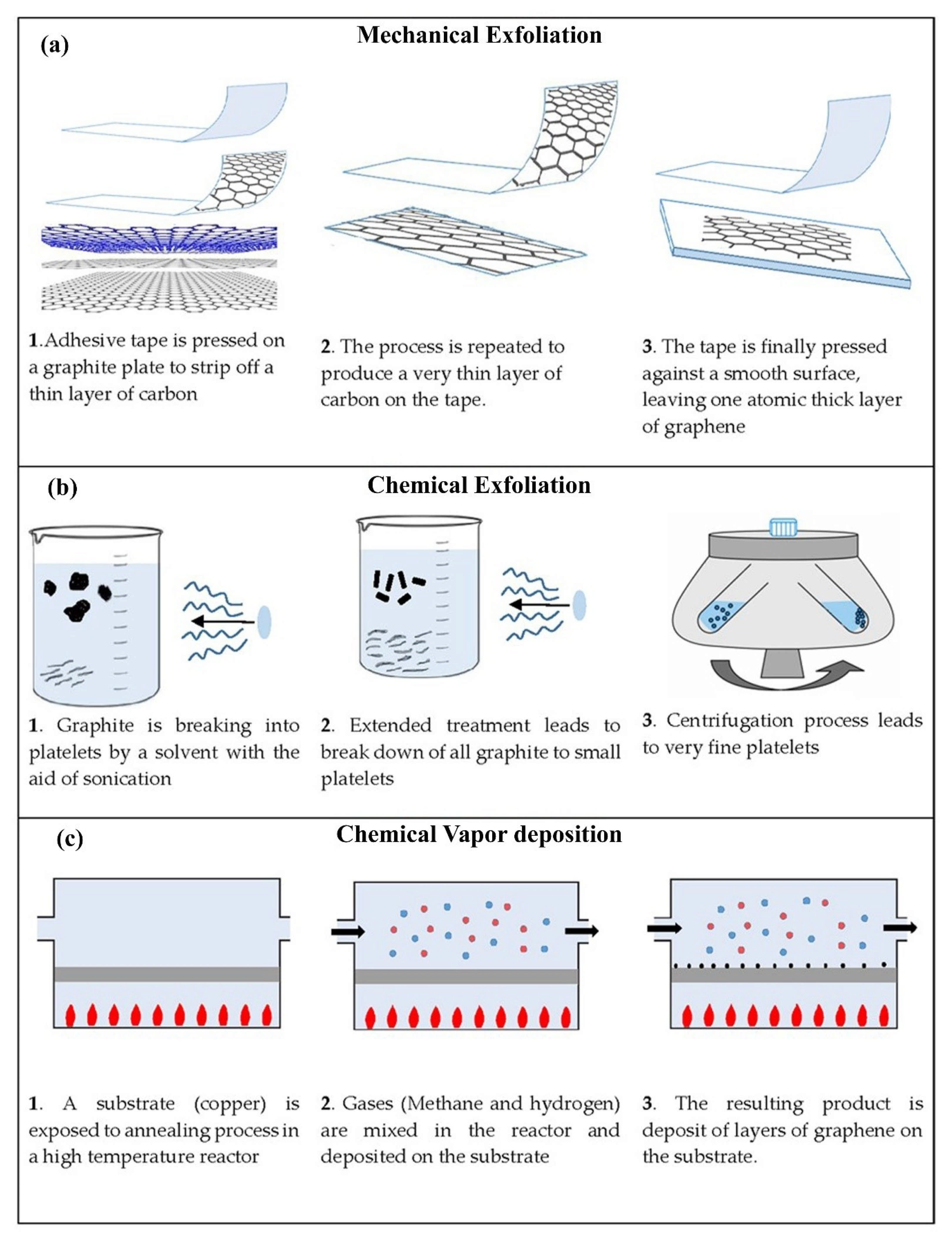 Polymers 13 02869 g002