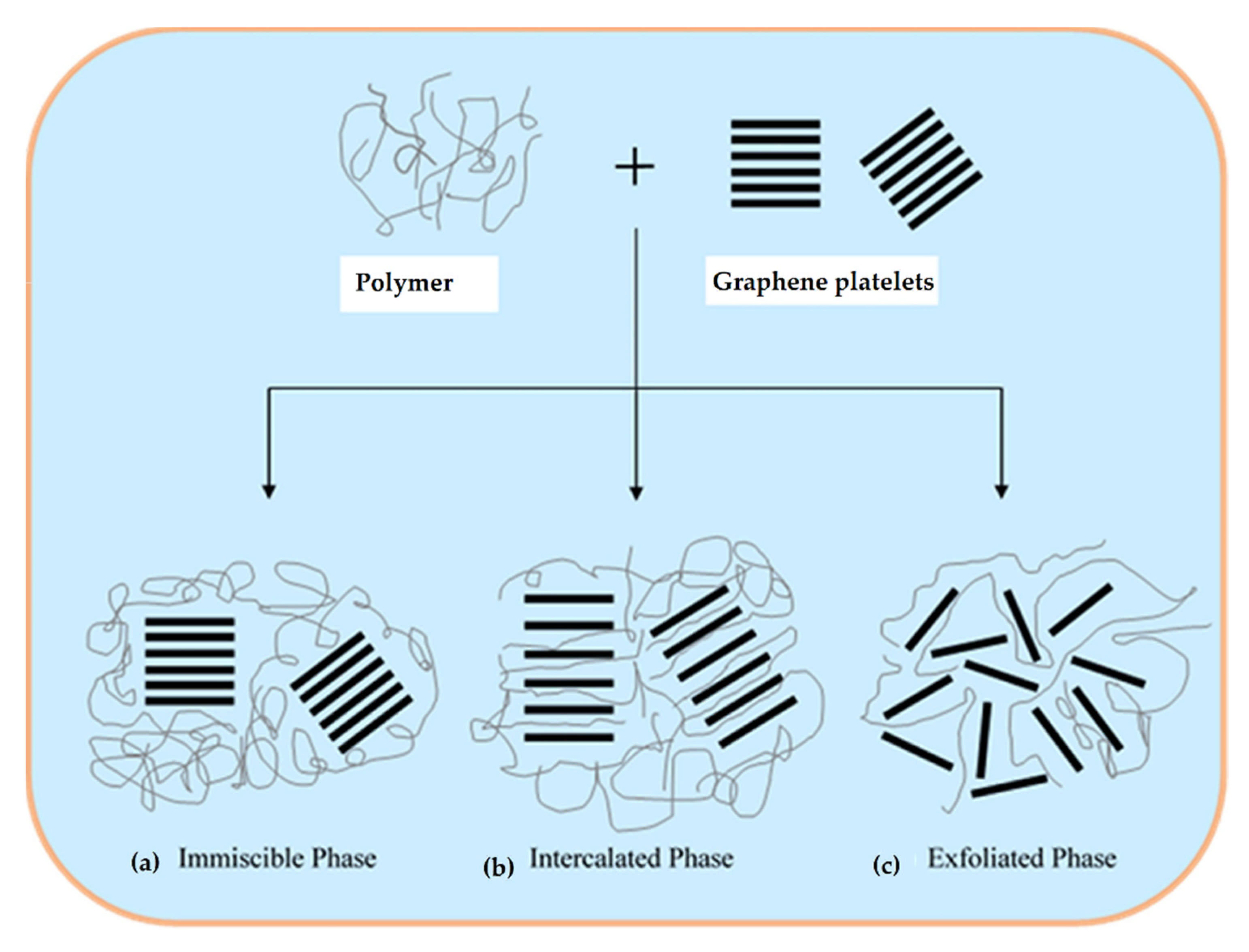 Polymers 13 02869 g003