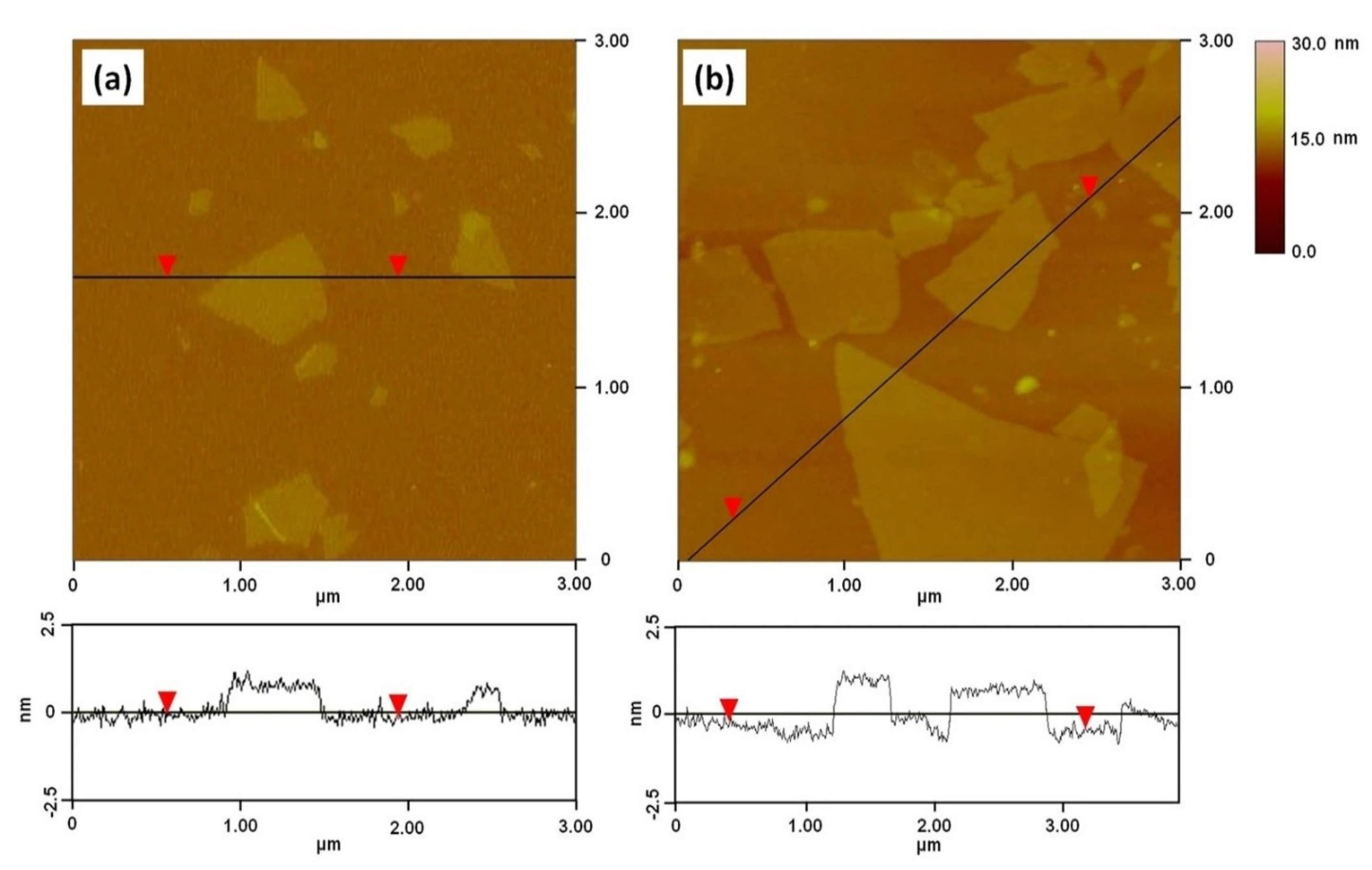Polymers 13 02869 g008