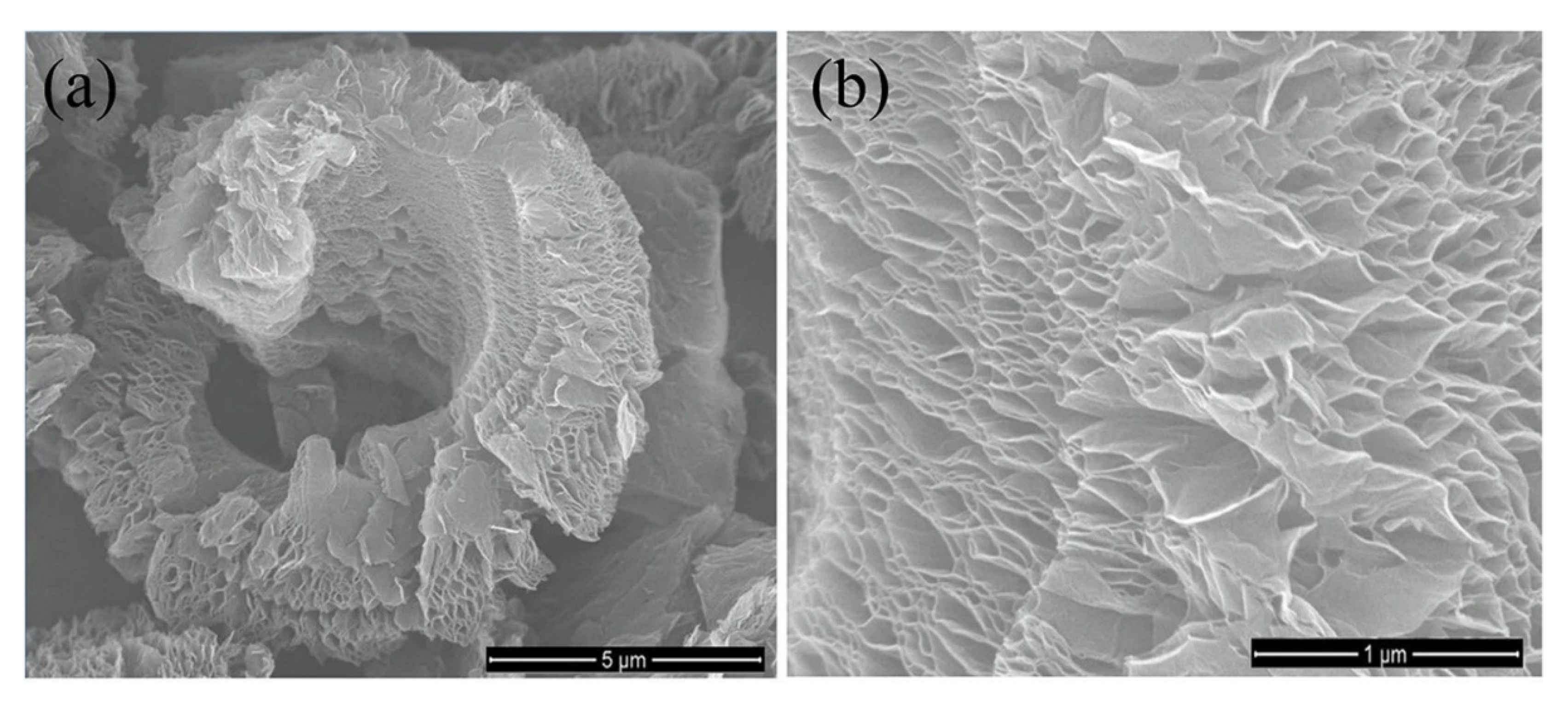 Polymers 13 02869 g010