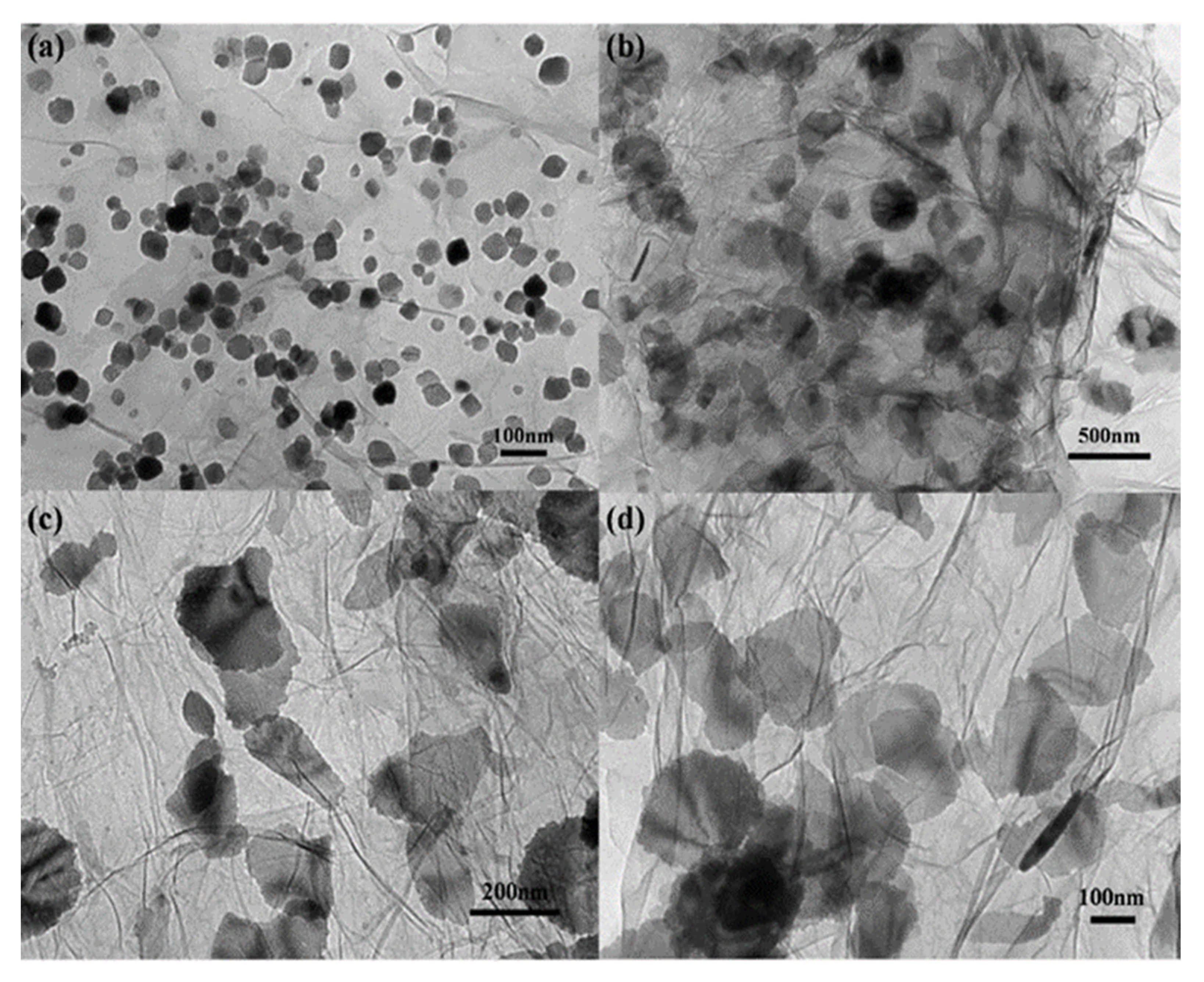 Polymers 13 02869 g013