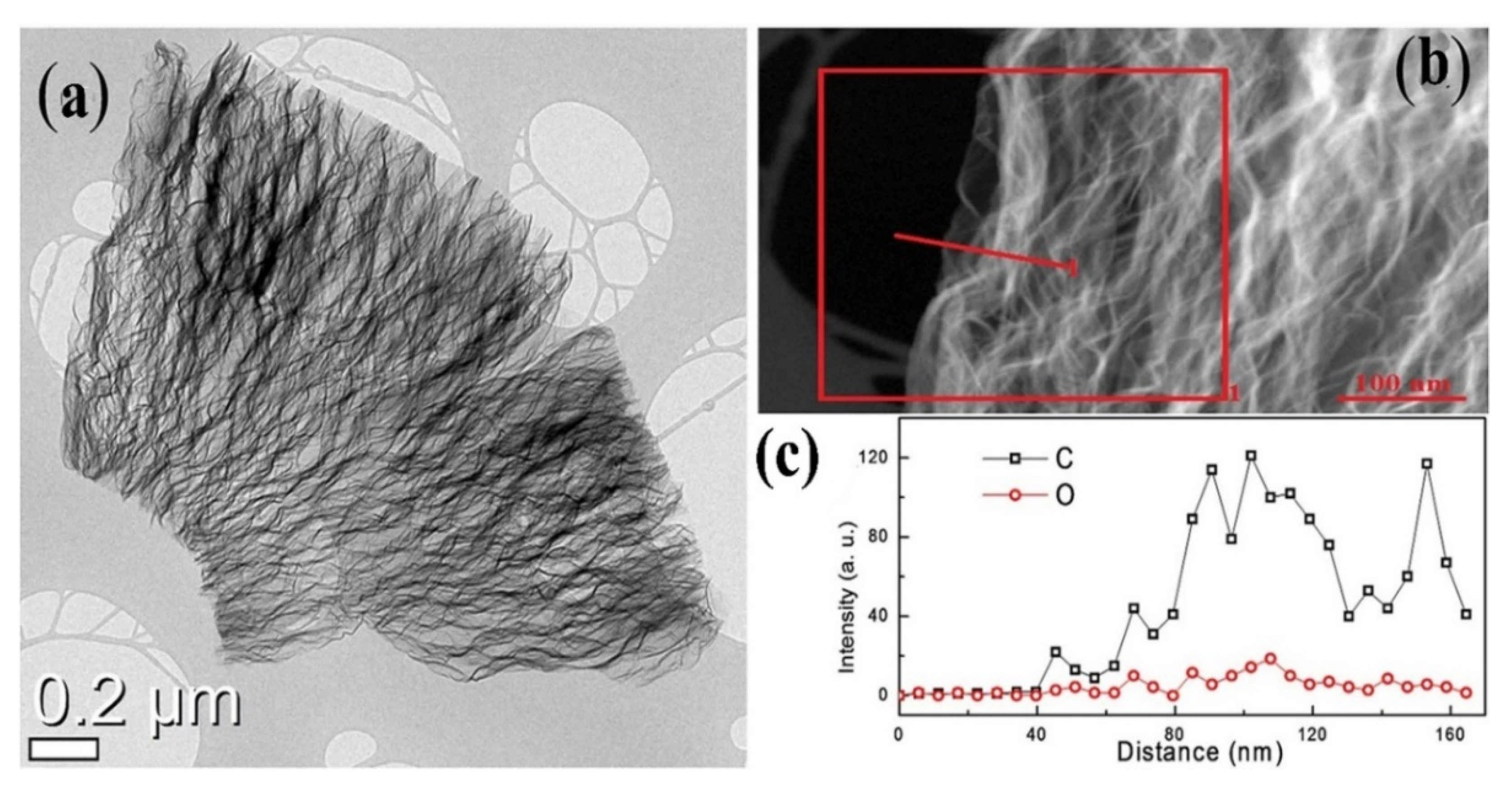 Polymers 13 02869 g014