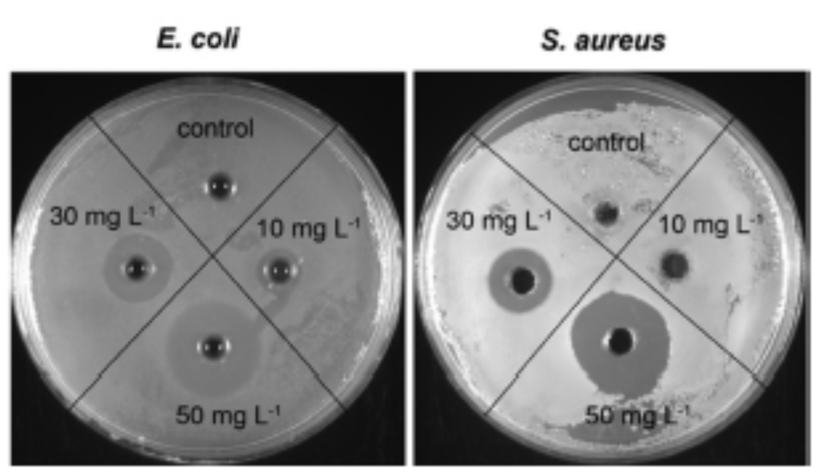 Polymers 13 02870 g004 Polymers 13 02870 g004