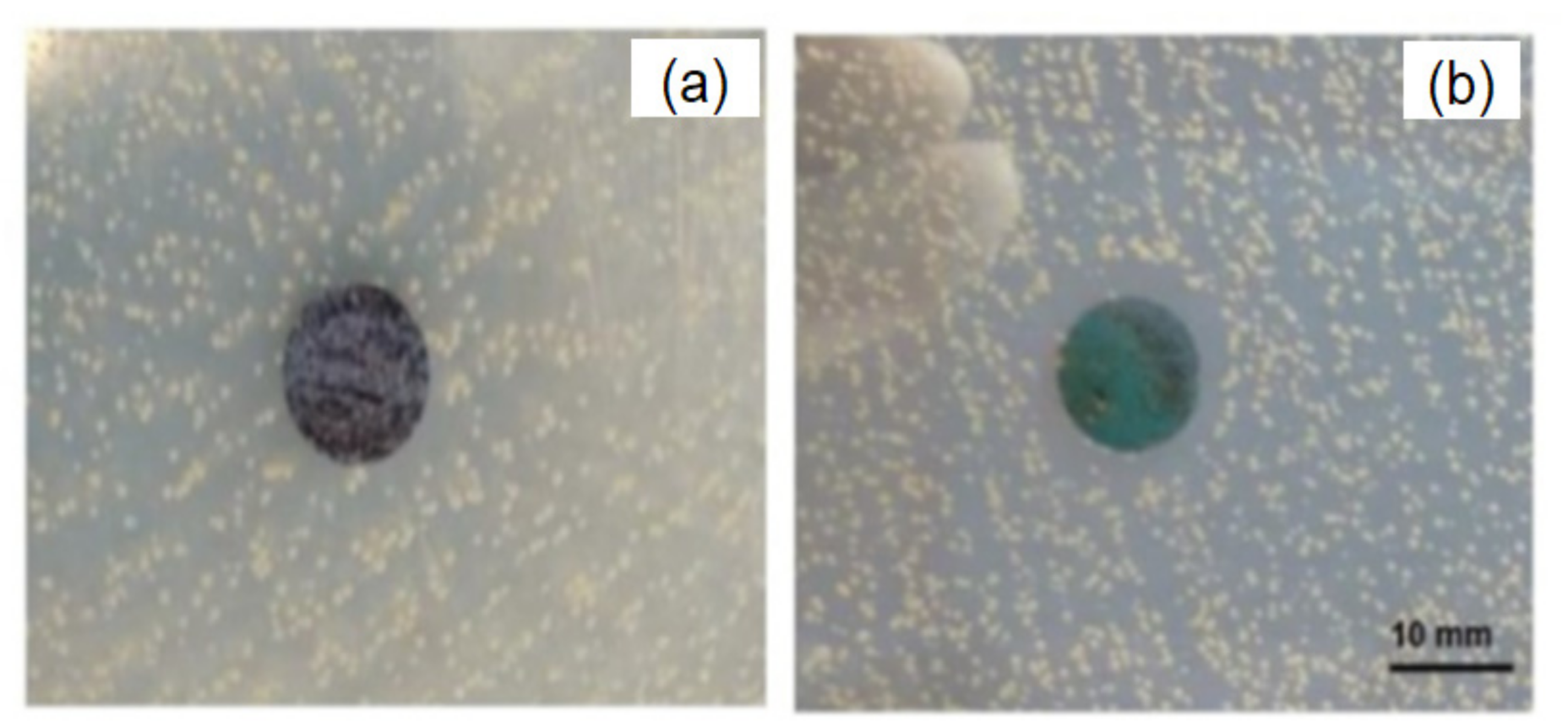 Polymers 13 02870 g009 Polymers 13 02870 g009