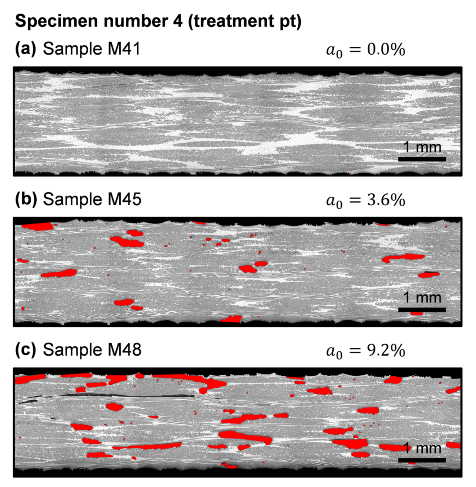 Polymers 13 02876 g009