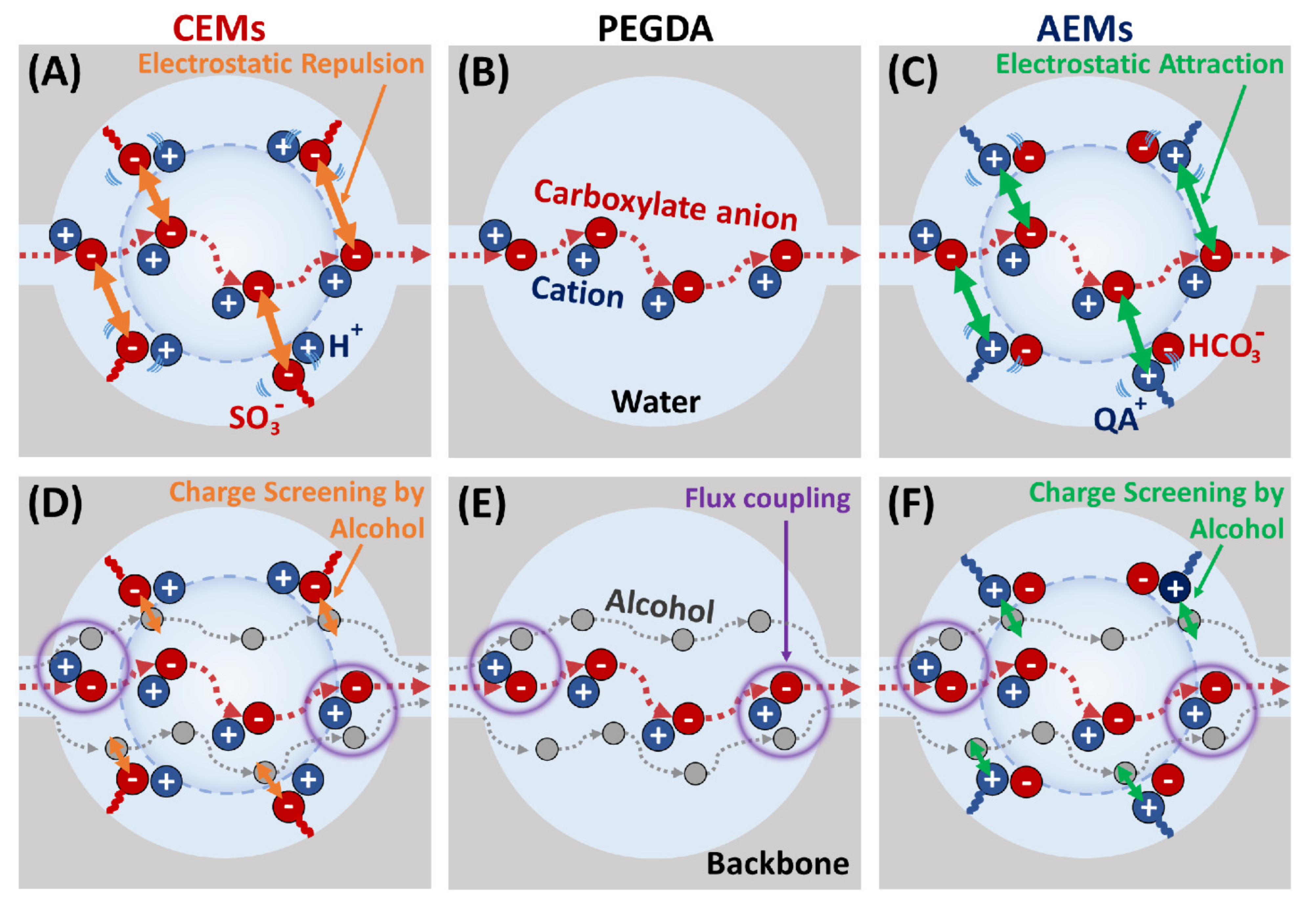 Polymers 13 02885 g001