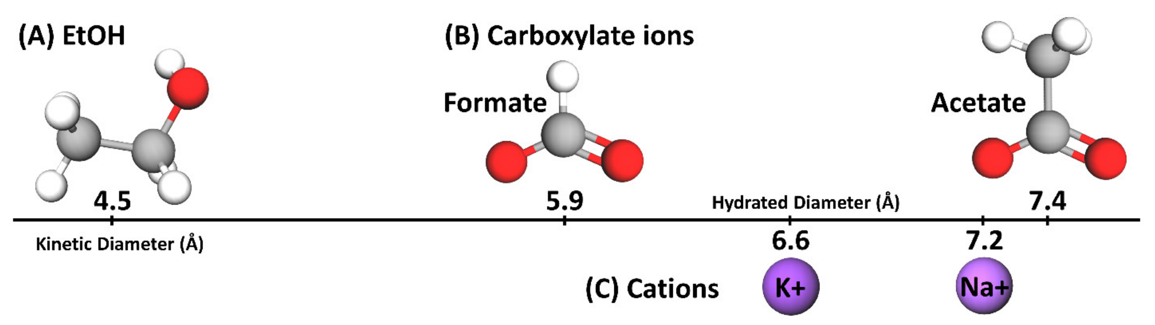 Polymers 13 02885 g003