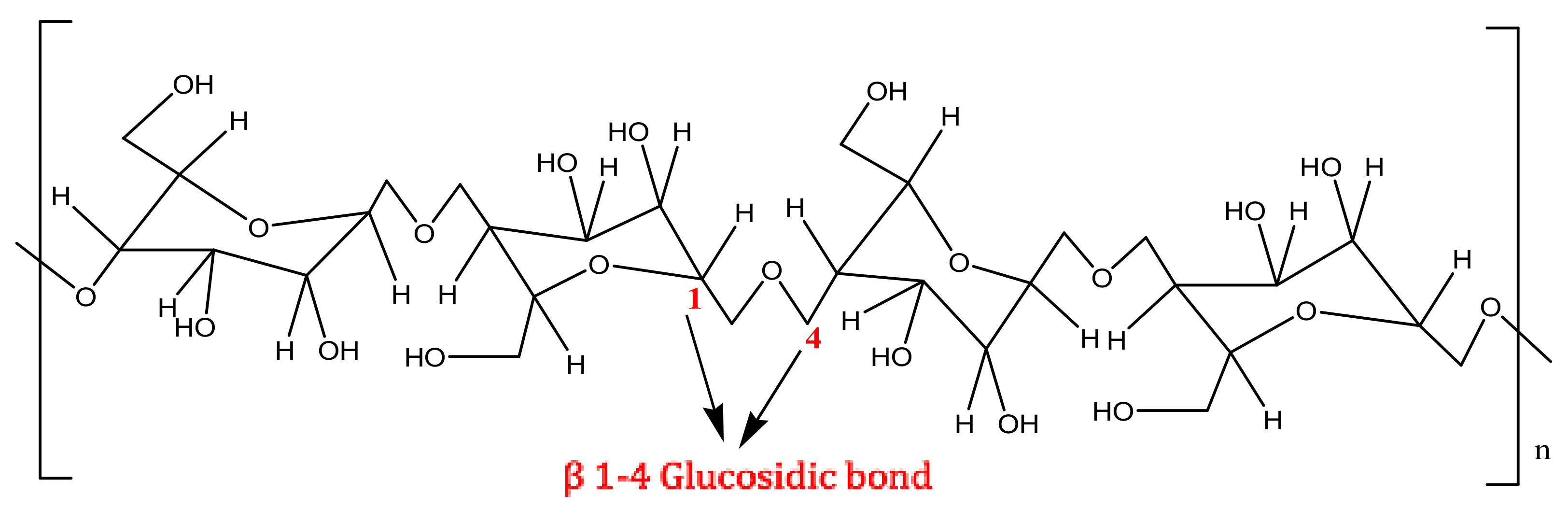 Polymers 13 02886 g001