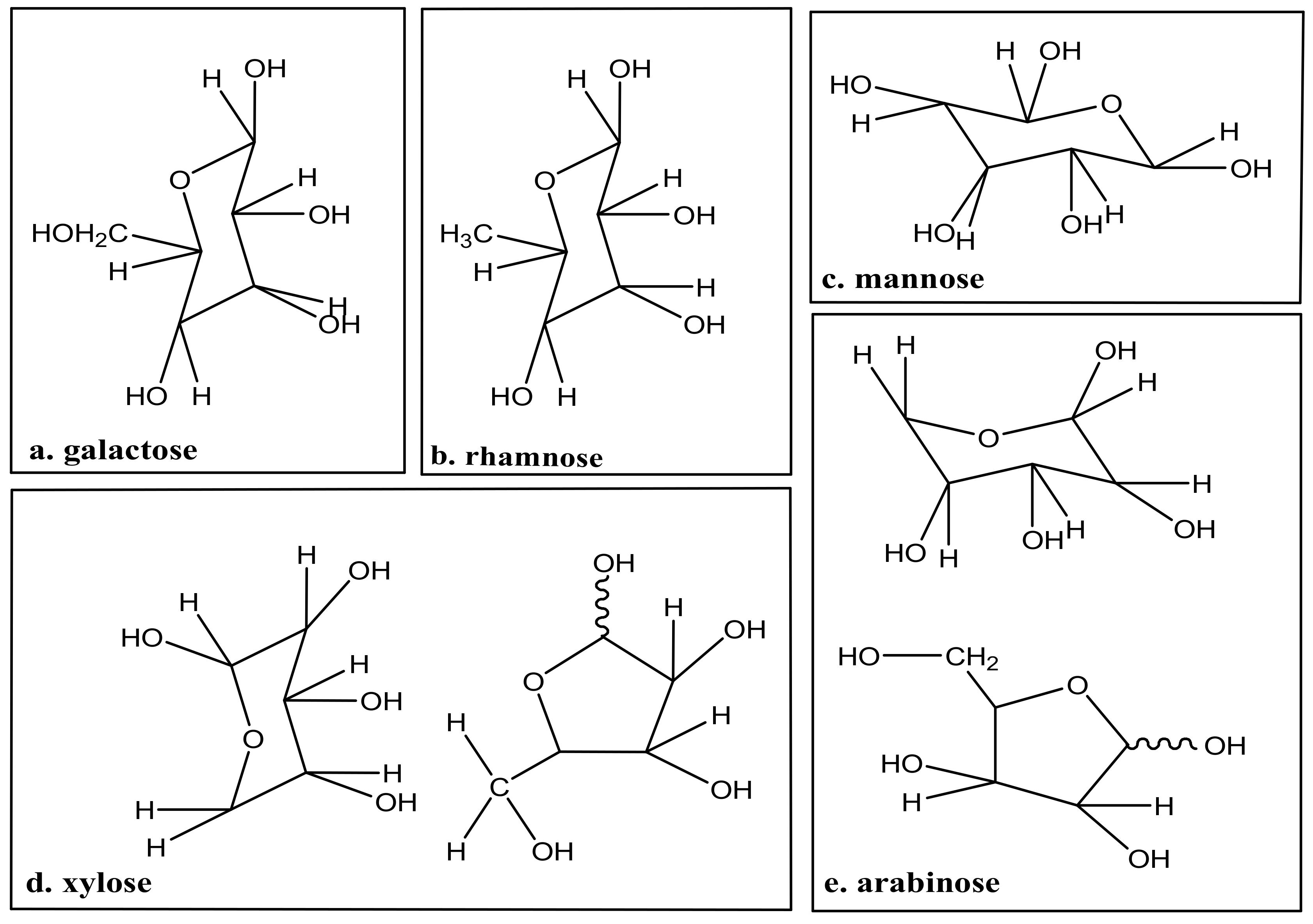 Polymers 13 02886 g002