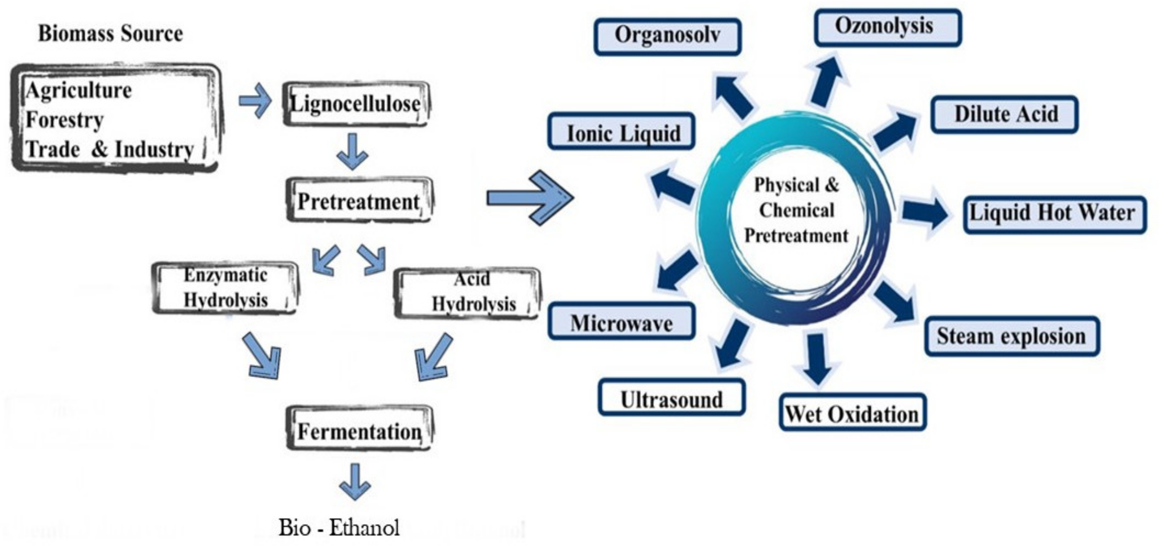 Polymers 13 02886 g003