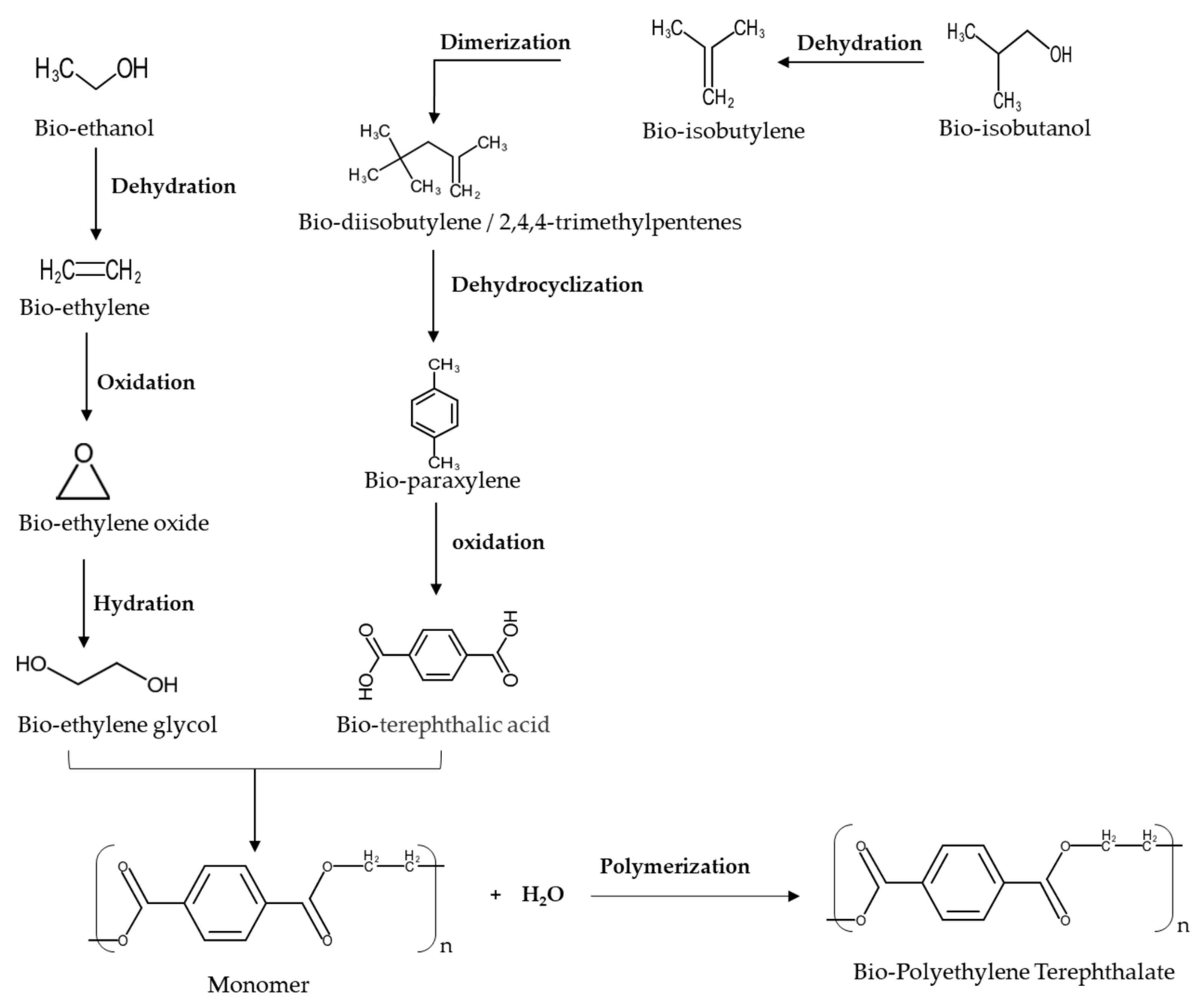 Polymers 13 02886 g006