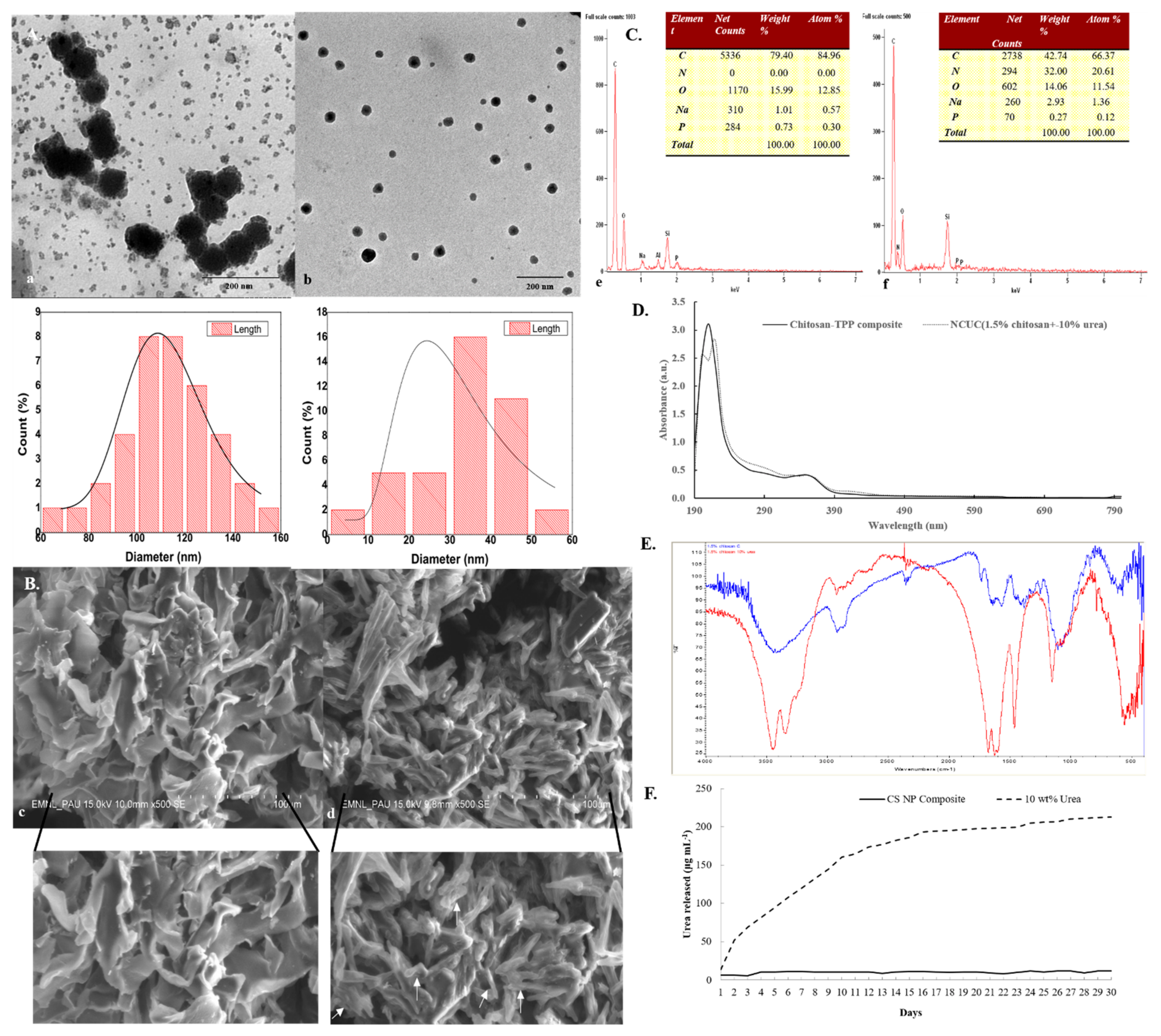 Polymers 13 02887 g001 Polymers 13 02887 g001