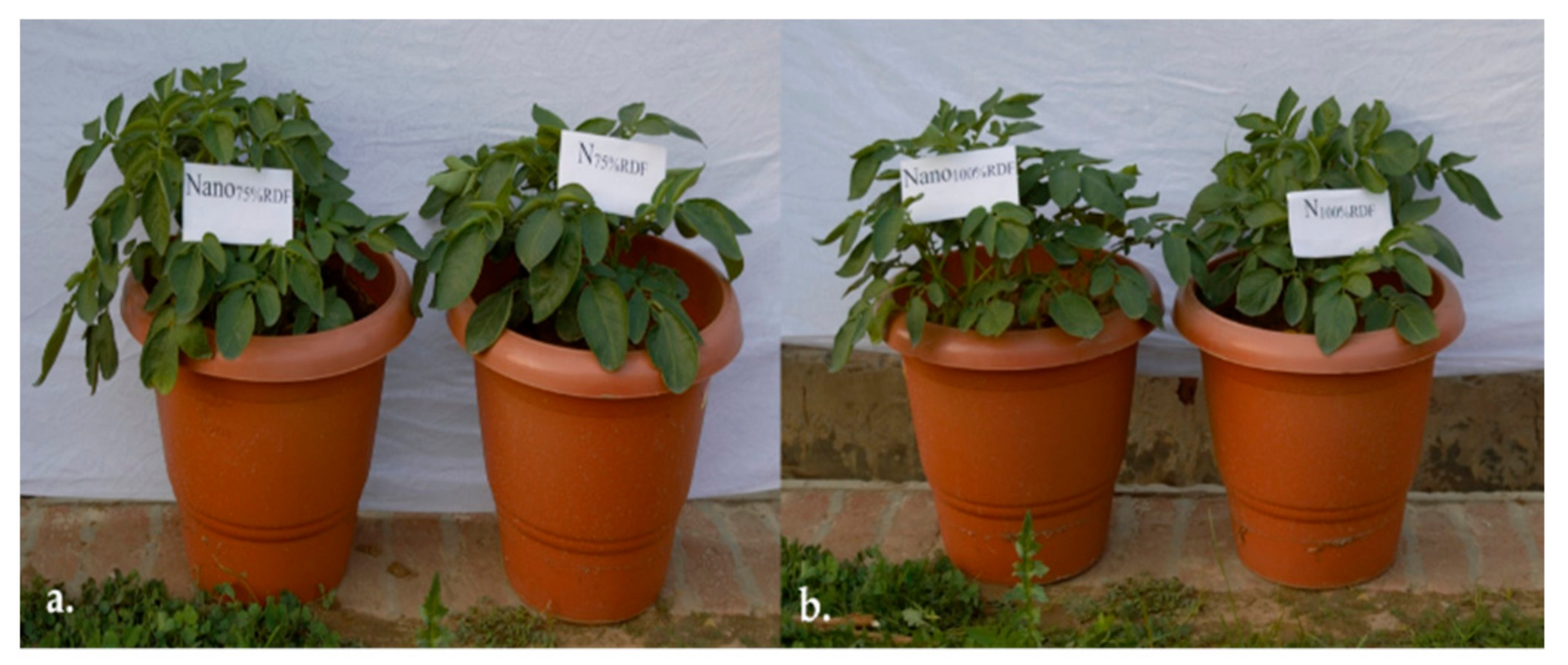 Polymers 13 02887 g006 Polymers 13 02887 g006