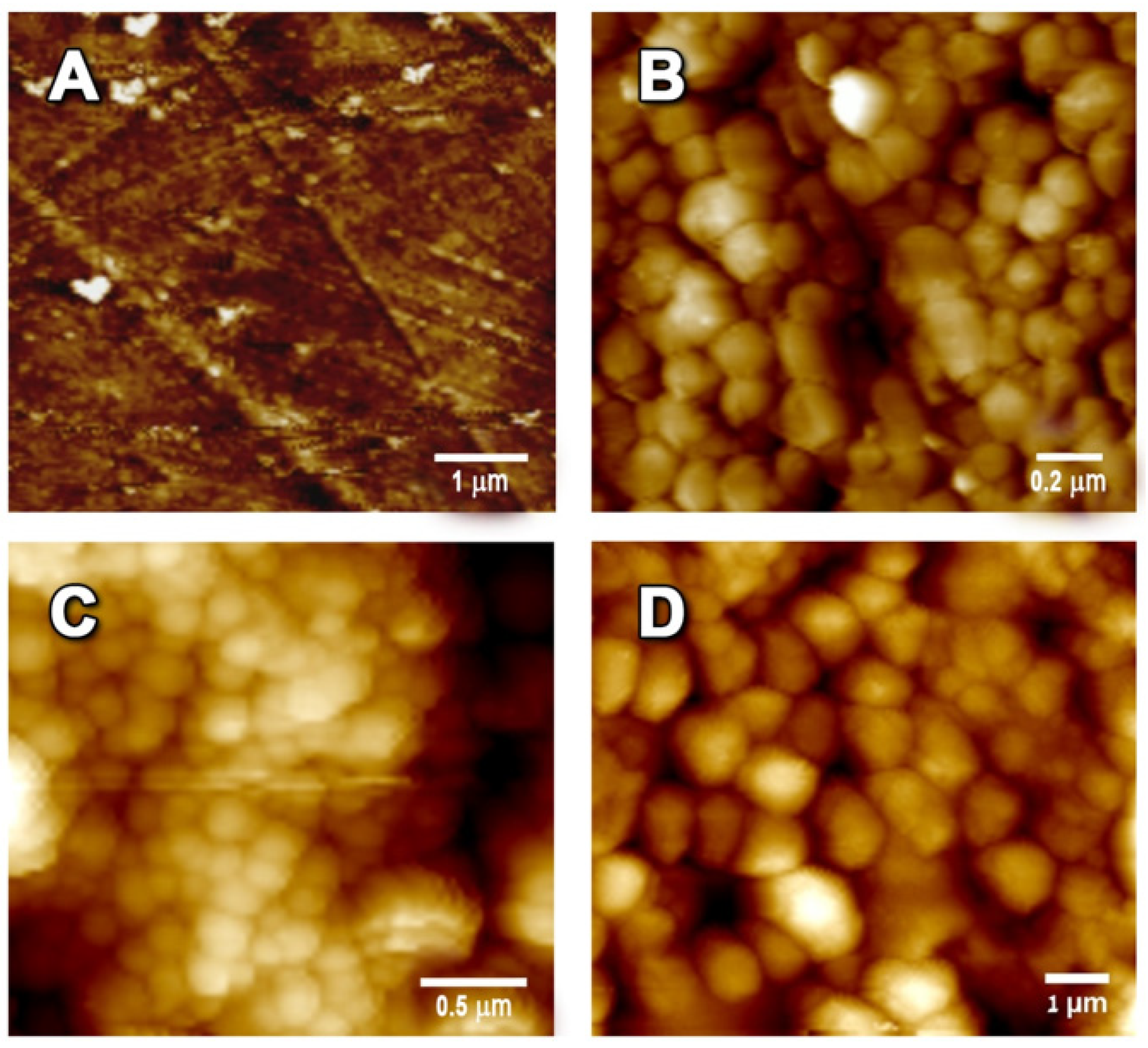 Polymers 13 02889 g005