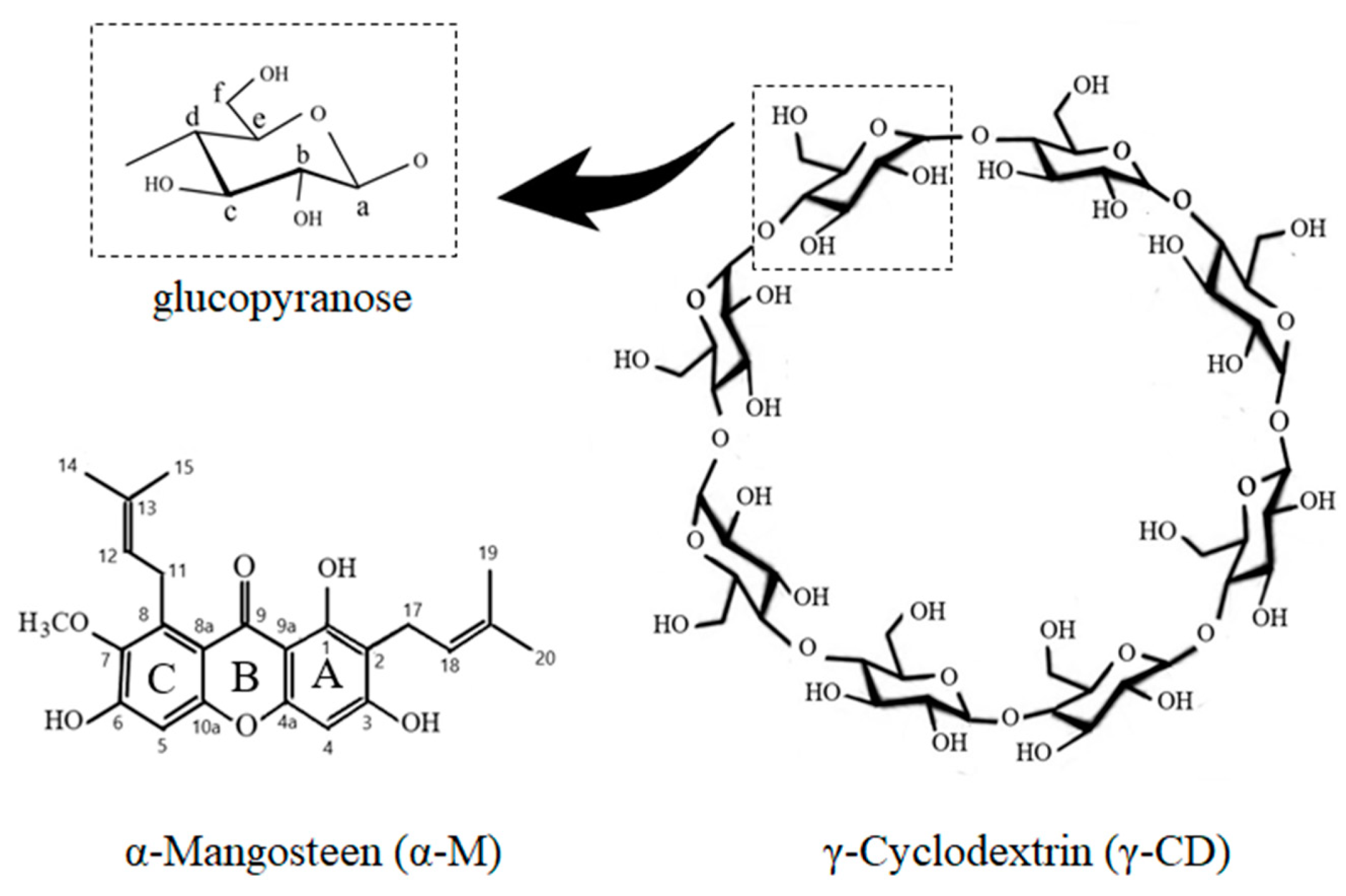 Polymers 13 02890 g001