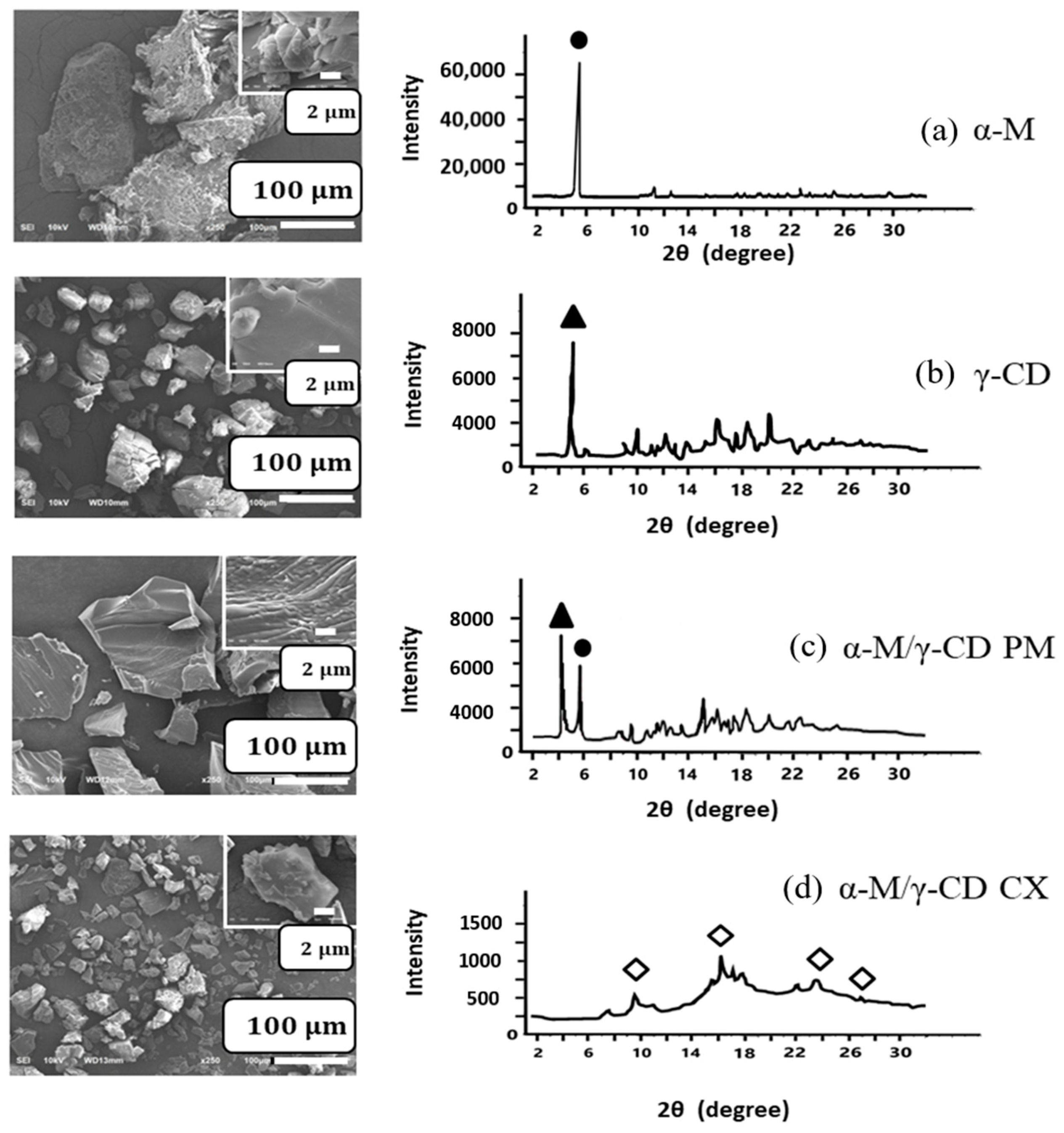 Polymers 13 02890 g004