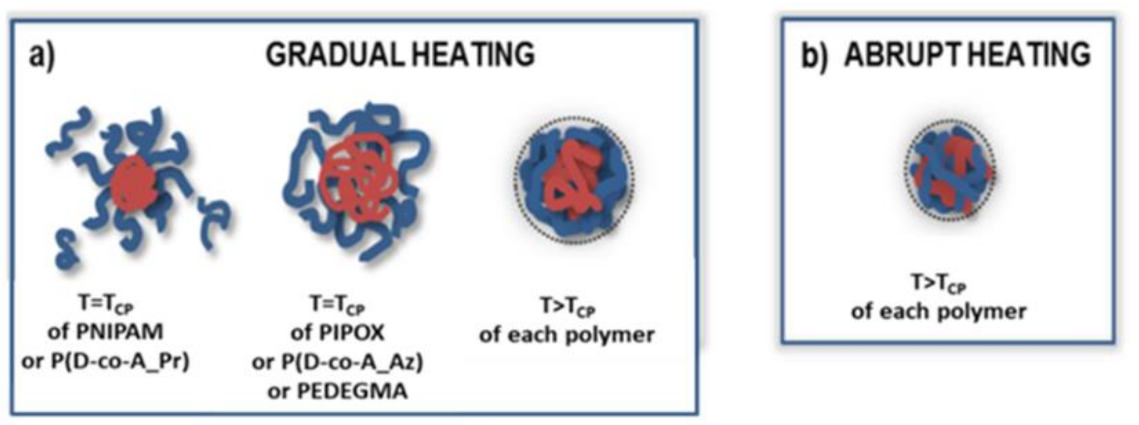 Polymers 13 02892 g003