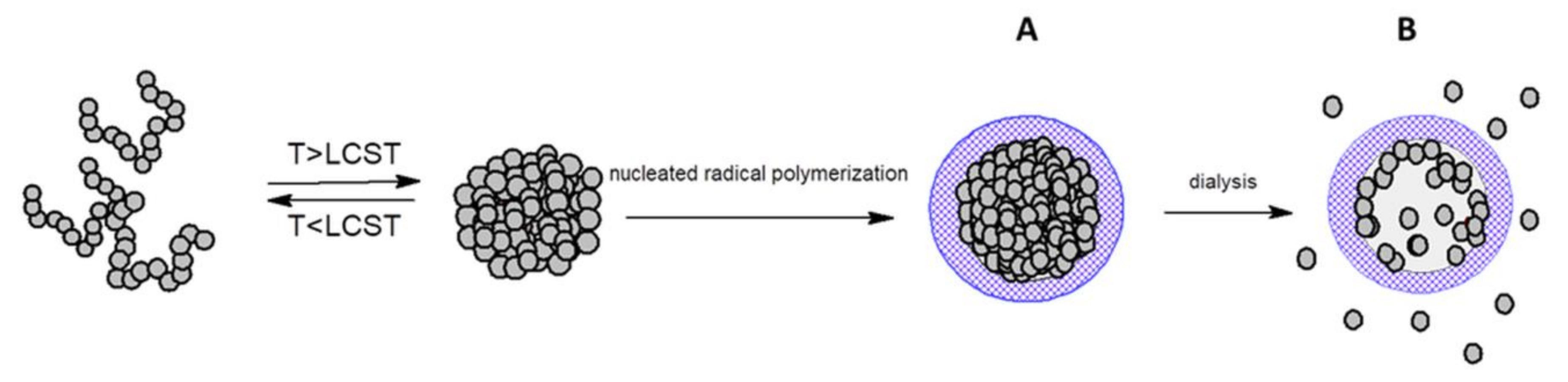 Polymers 13 02892 g004