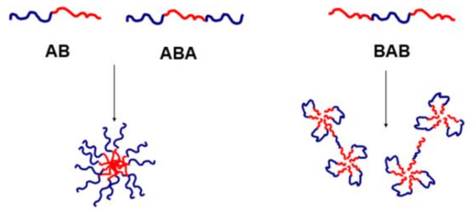 Polymers 13 02892 g006