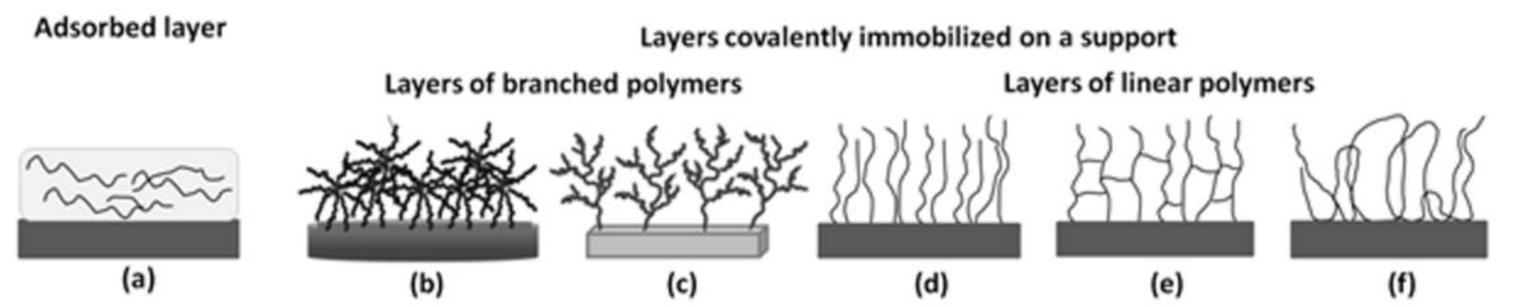 Polymers 13 02892 g008