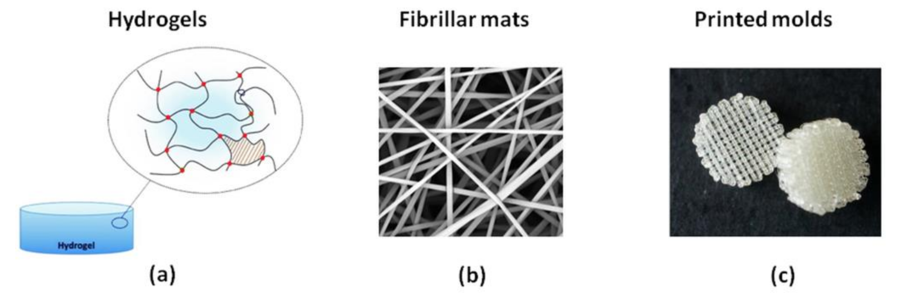 Polymers 13 02892 g010