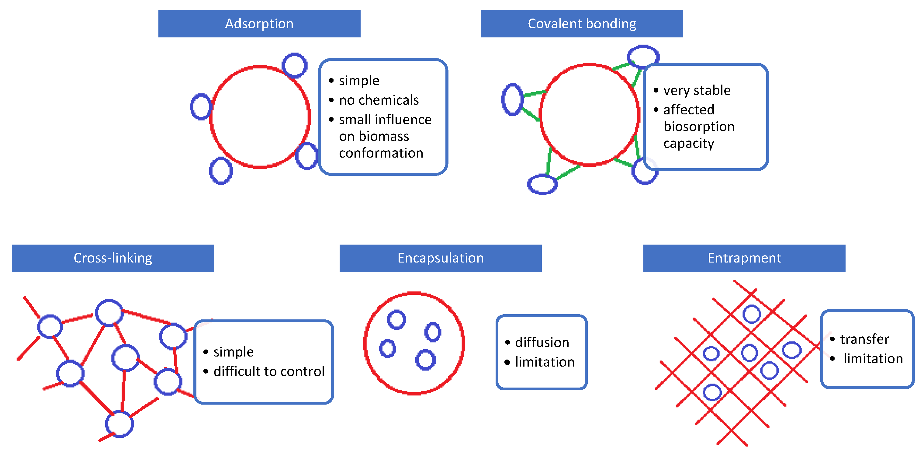 Polymers 13 02893 g002