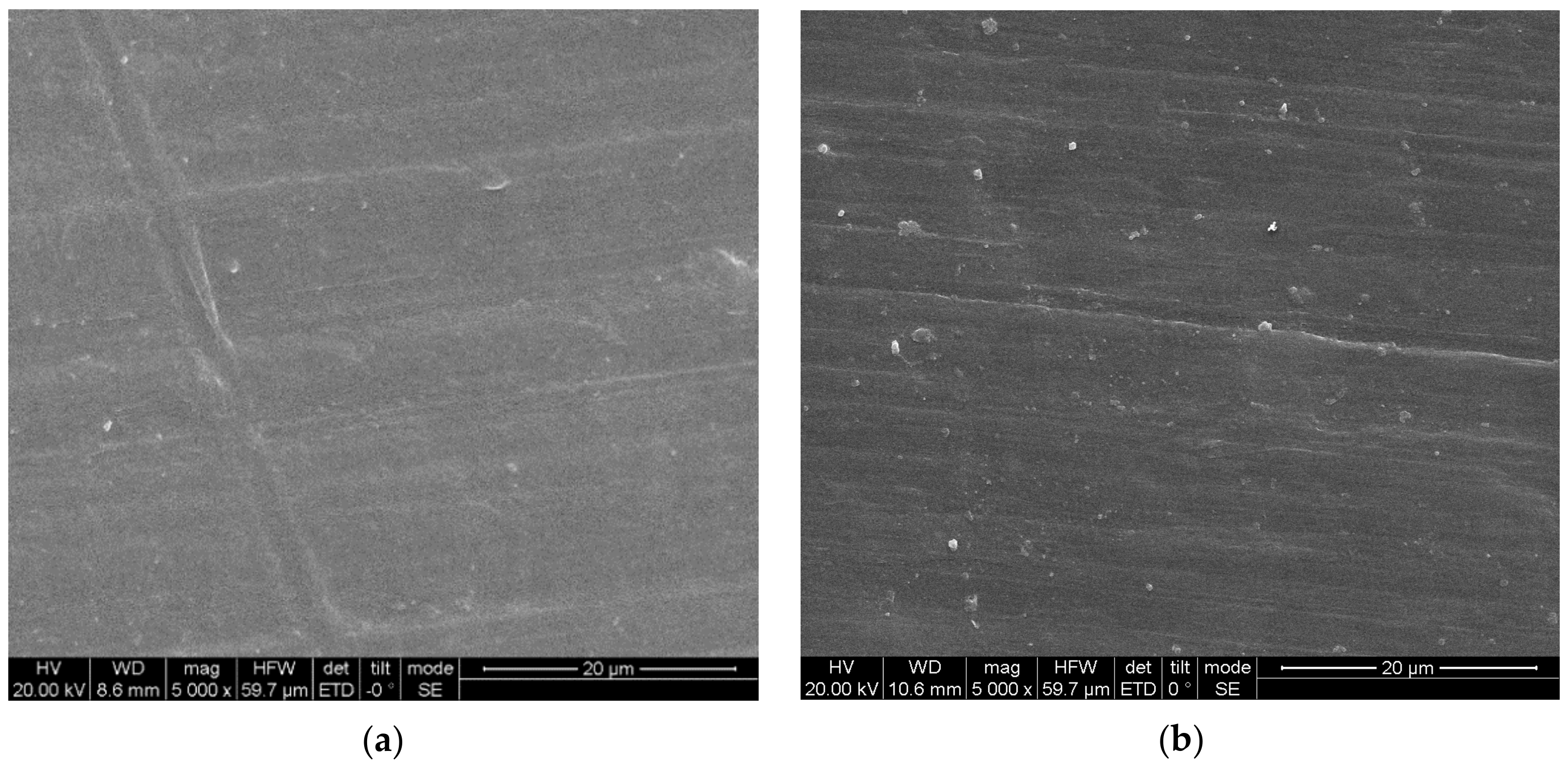 Polymers 13 02895 g001