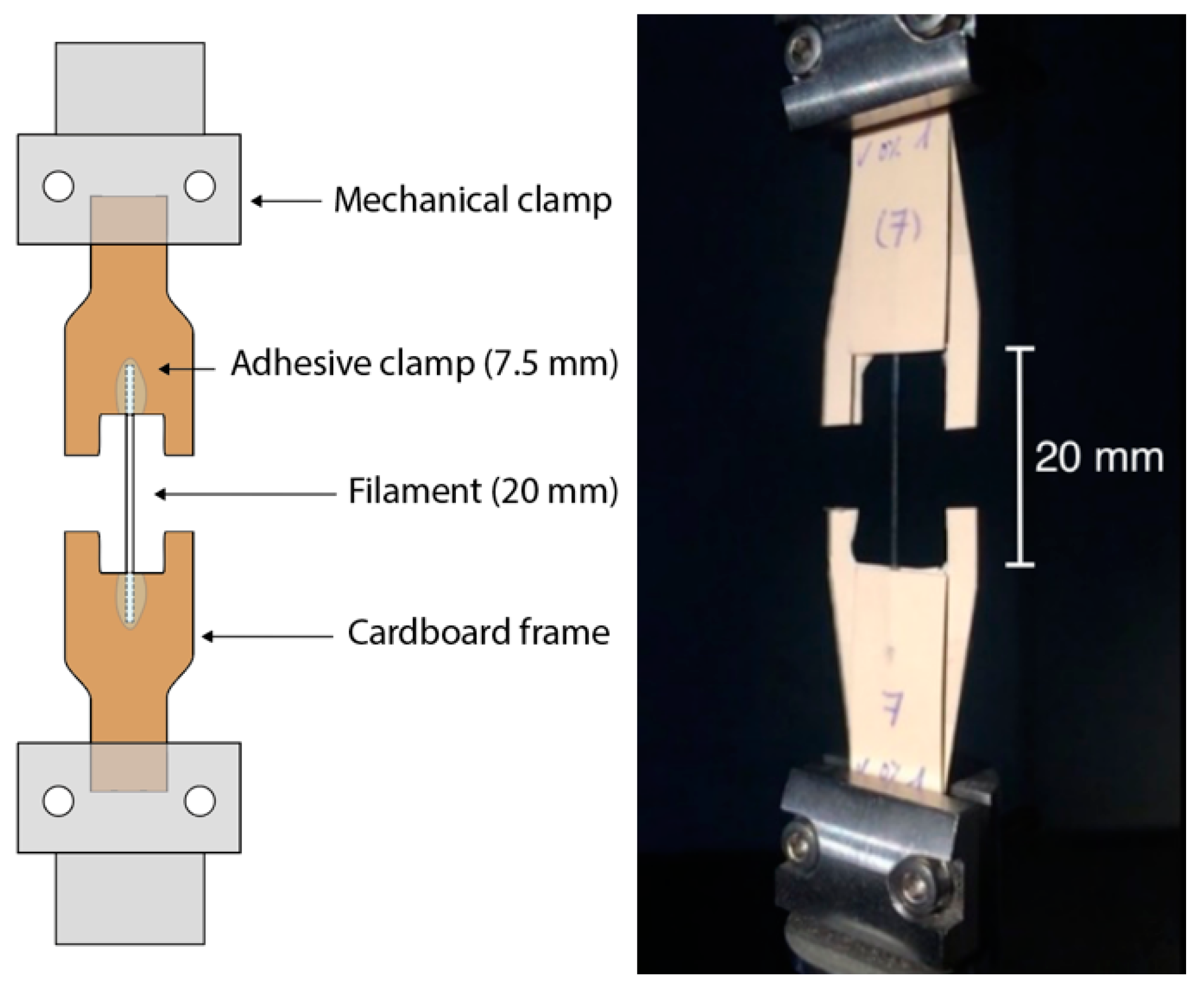 Polymers 13 02899 g003