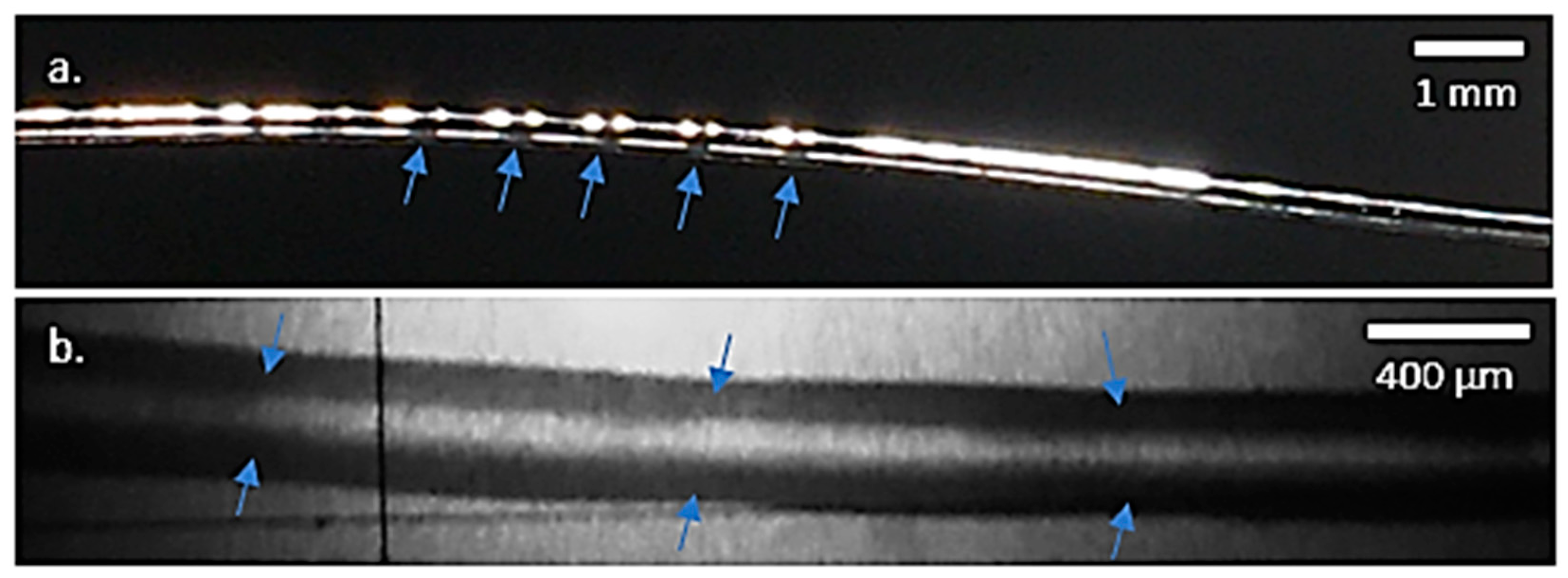Polymers 13 02899 g006