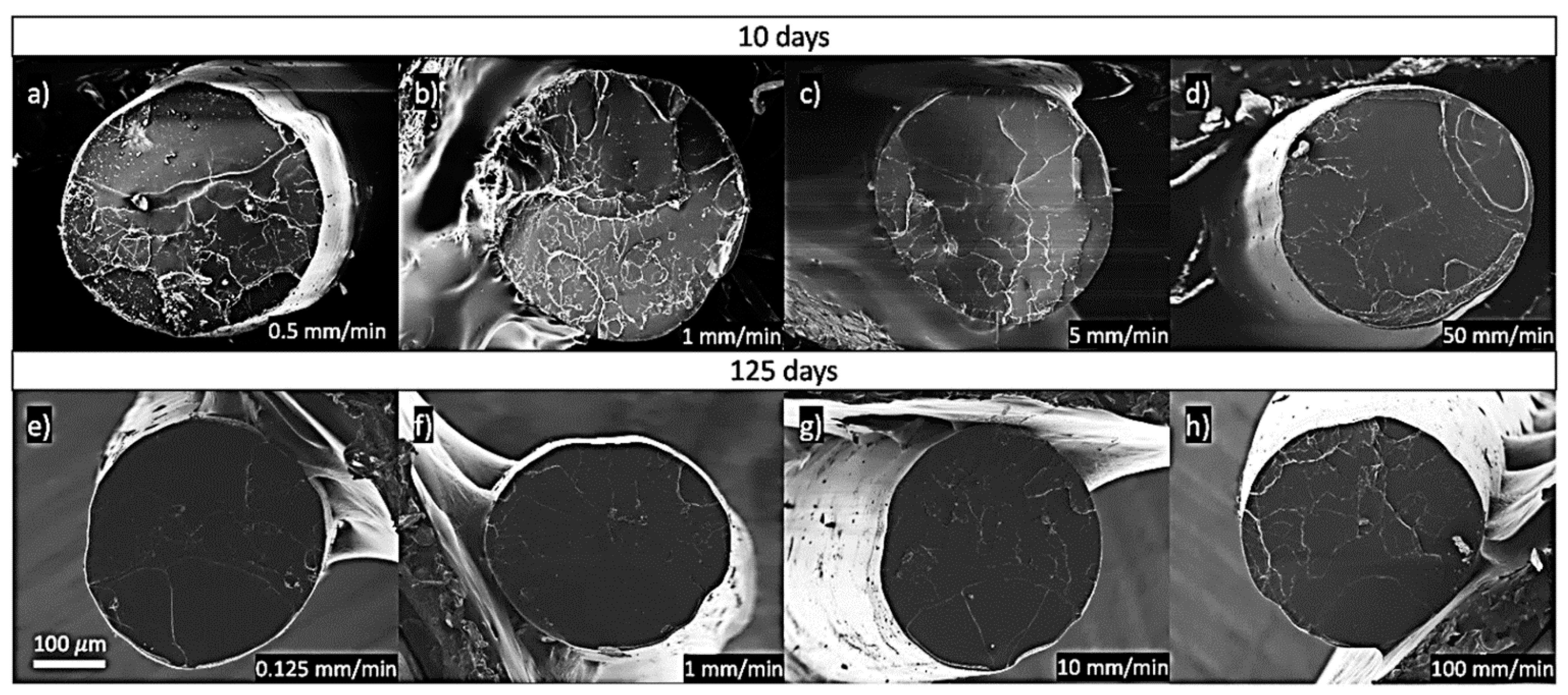 Polymers 13 02899 g013