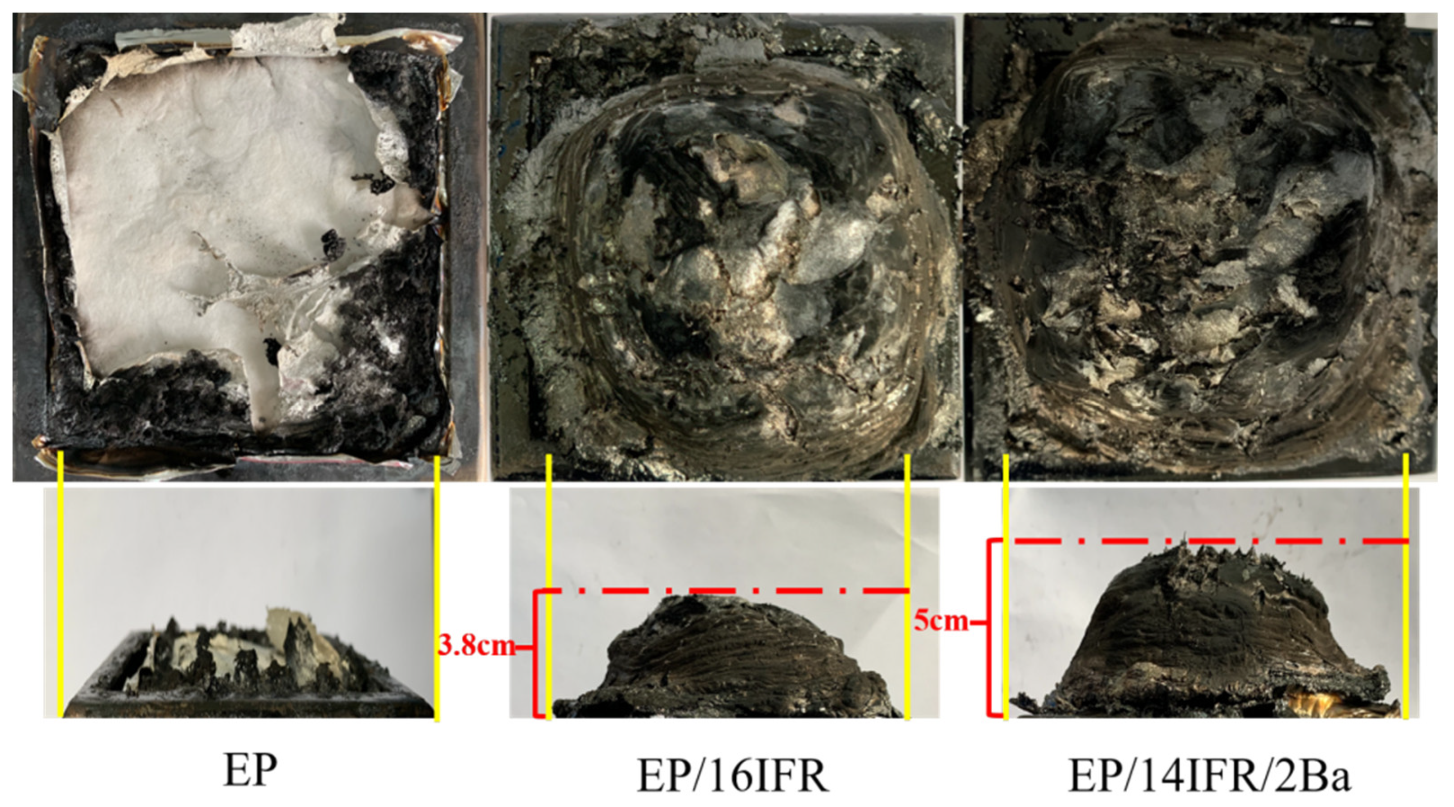Polymers 13 02900 g008