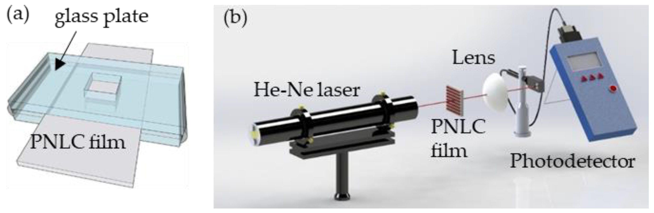 Polymers 13 02906 g002