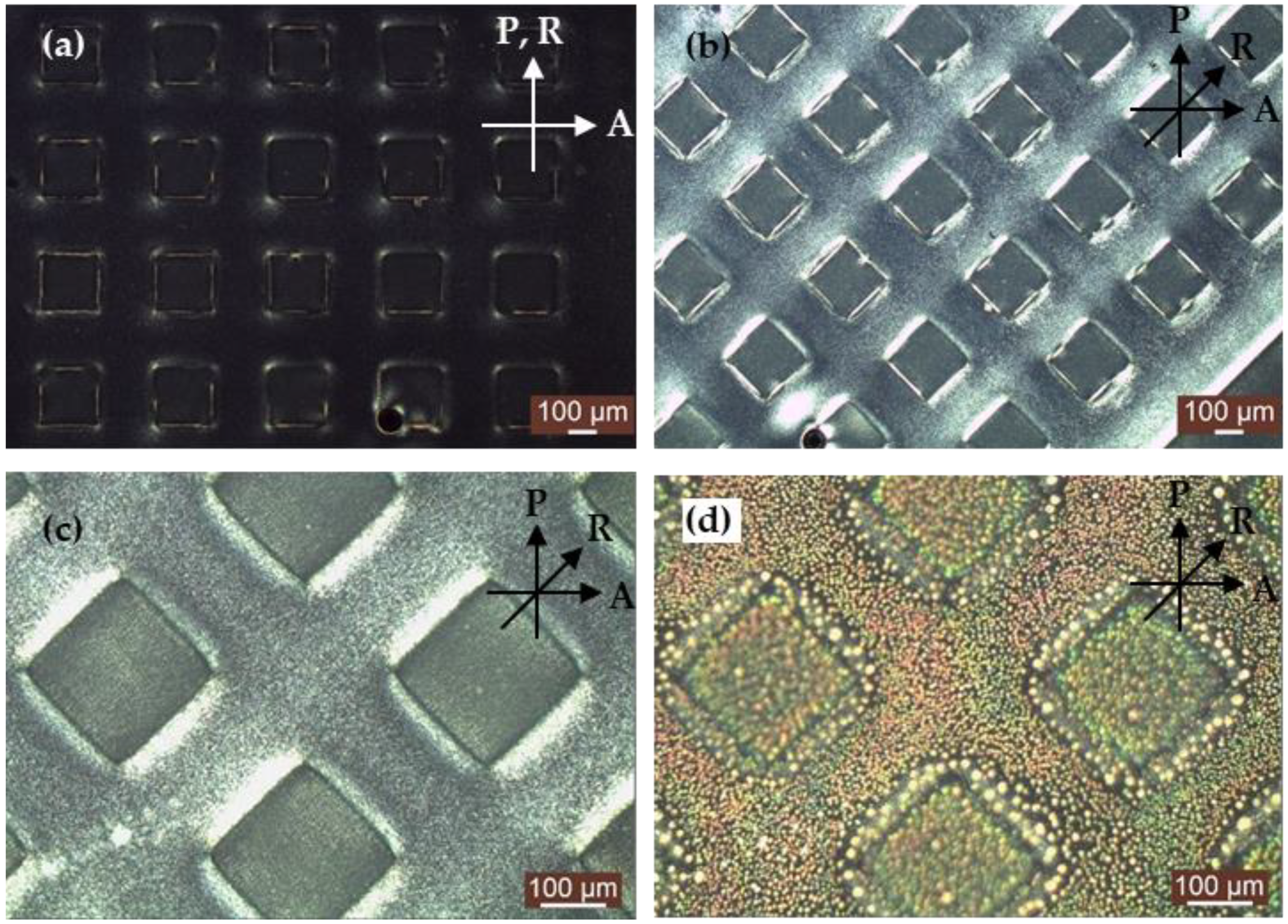 Polymers 13 02906 g003