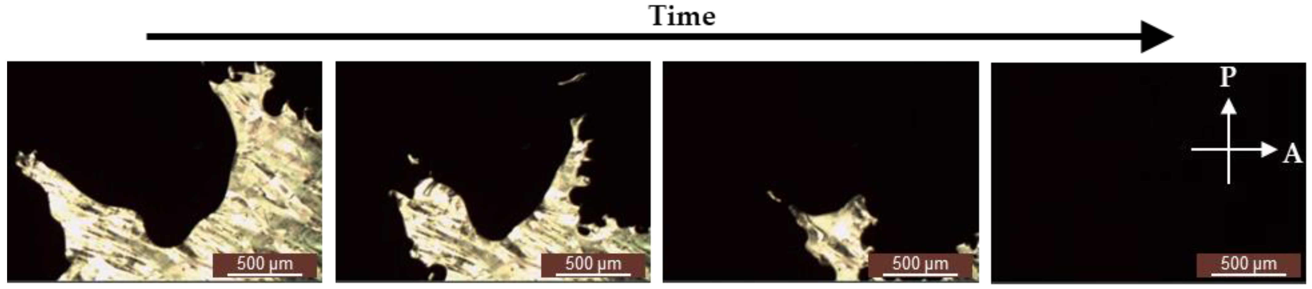 Polymers 13 02906 g004
