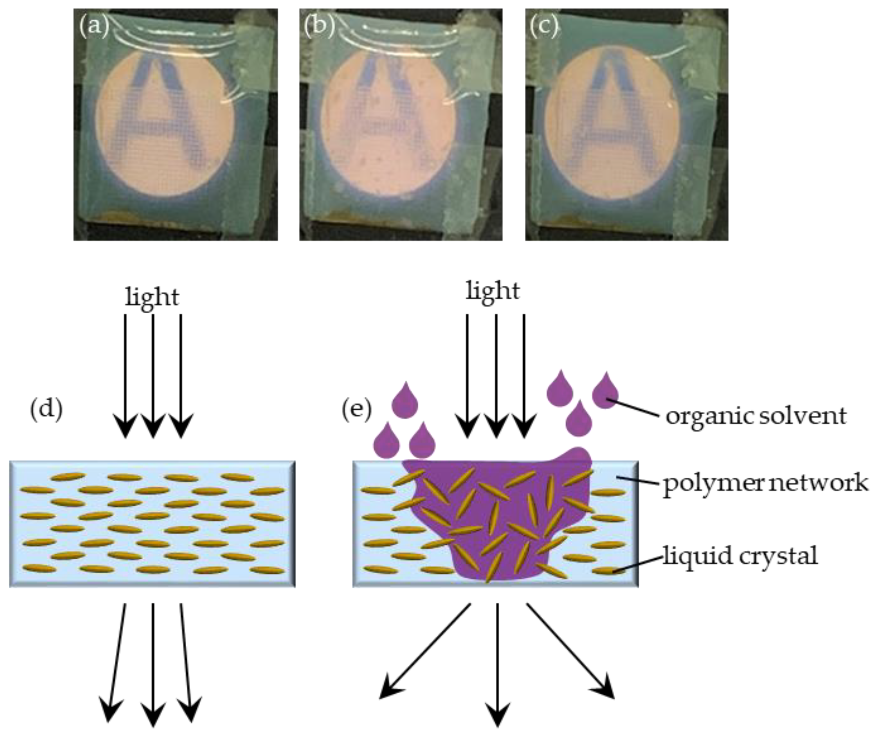 Polymers 13 02906 g005