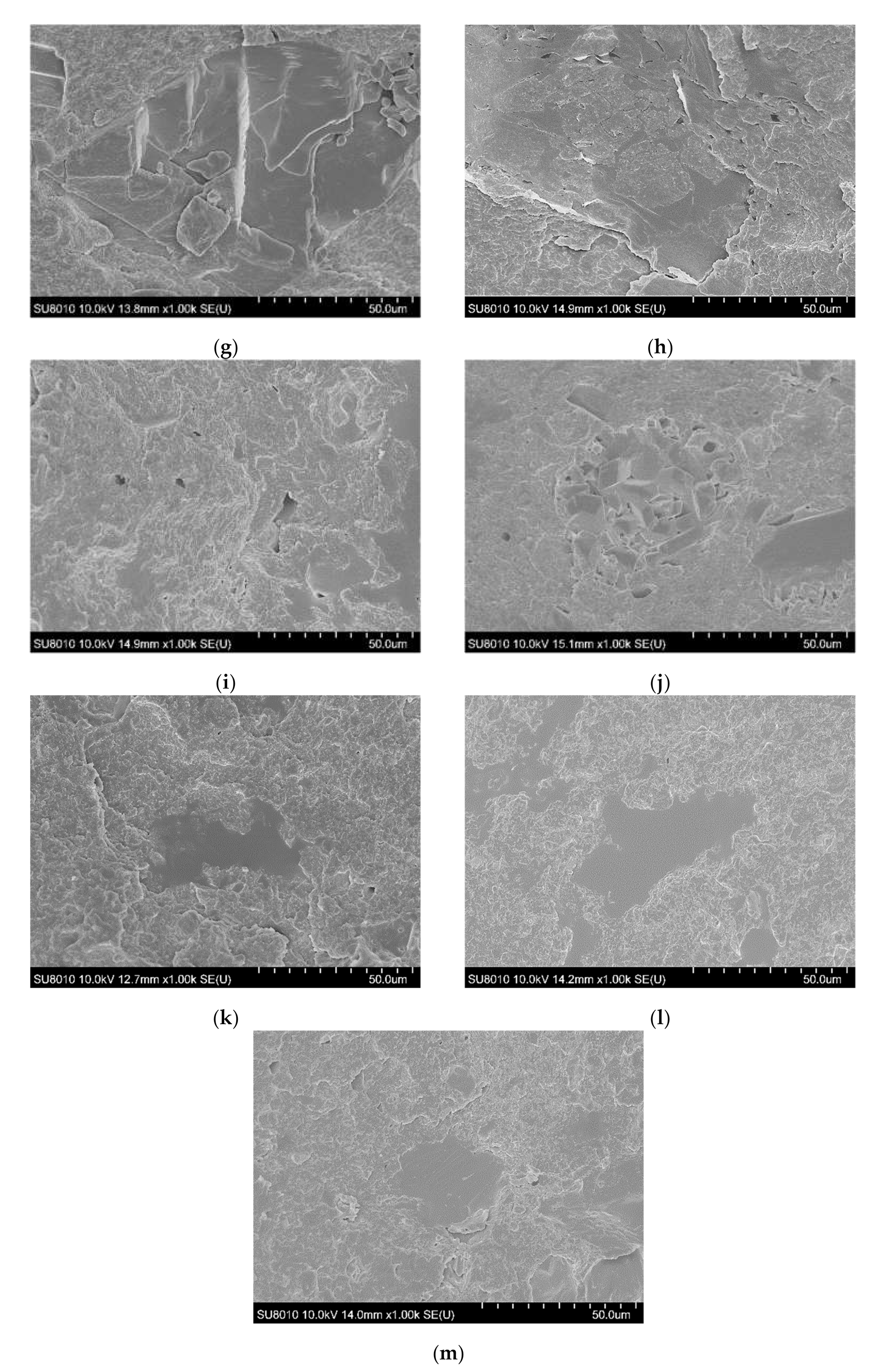 Polymers 13 02909 g002b