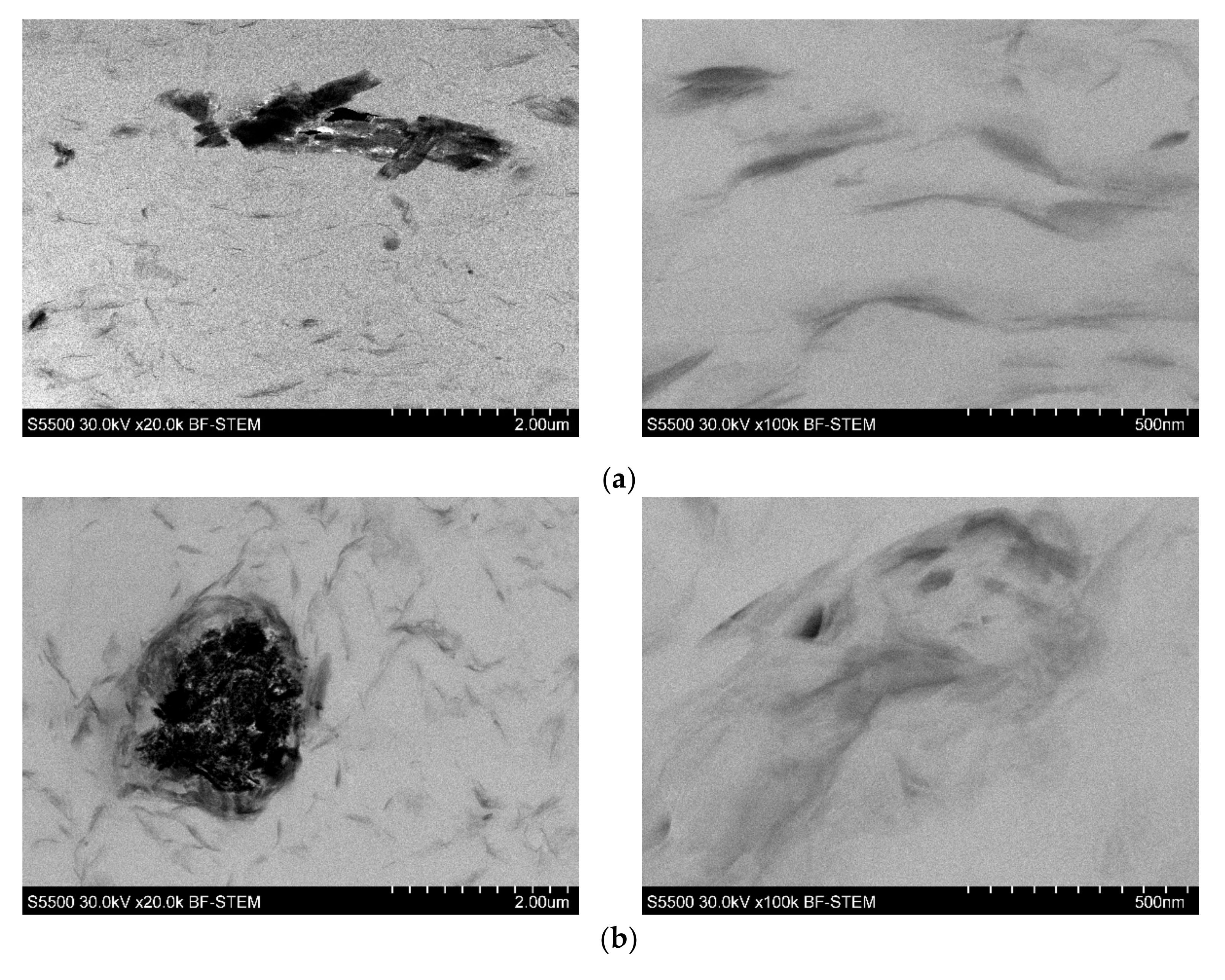 Polymers 13 02909 g003a