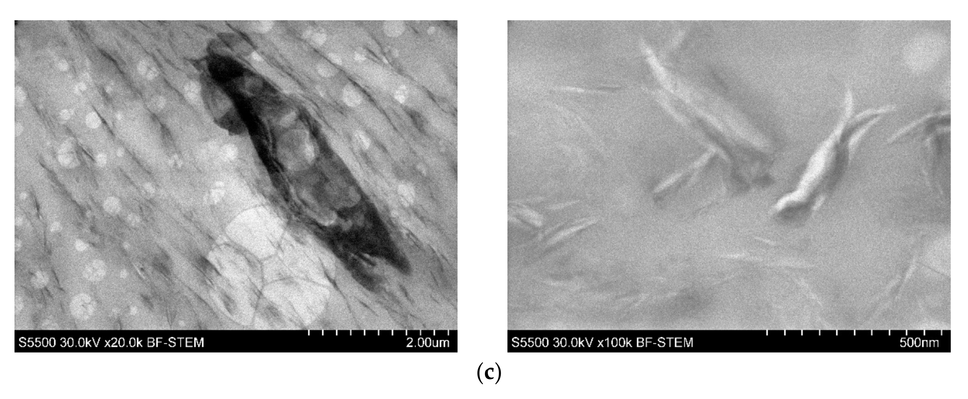 Polymers 13 02909 g003b